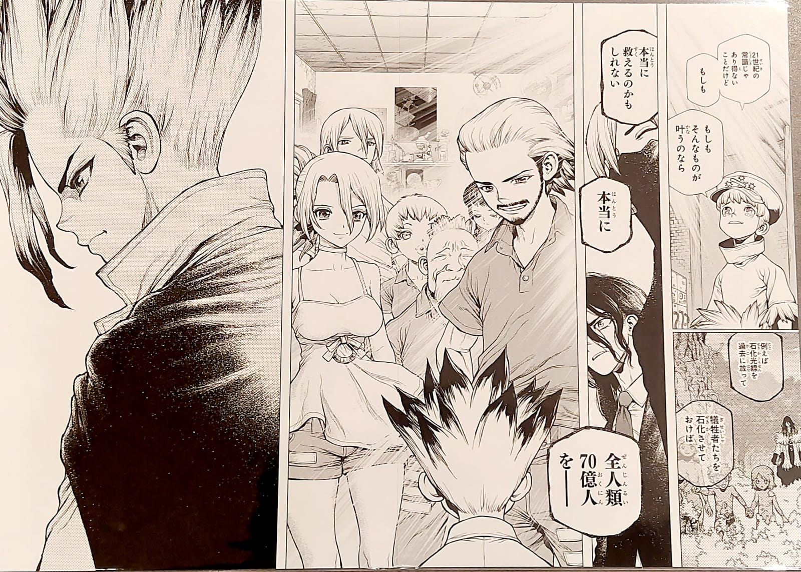 Dr. Stone Limited reproduction (Senku & Family)