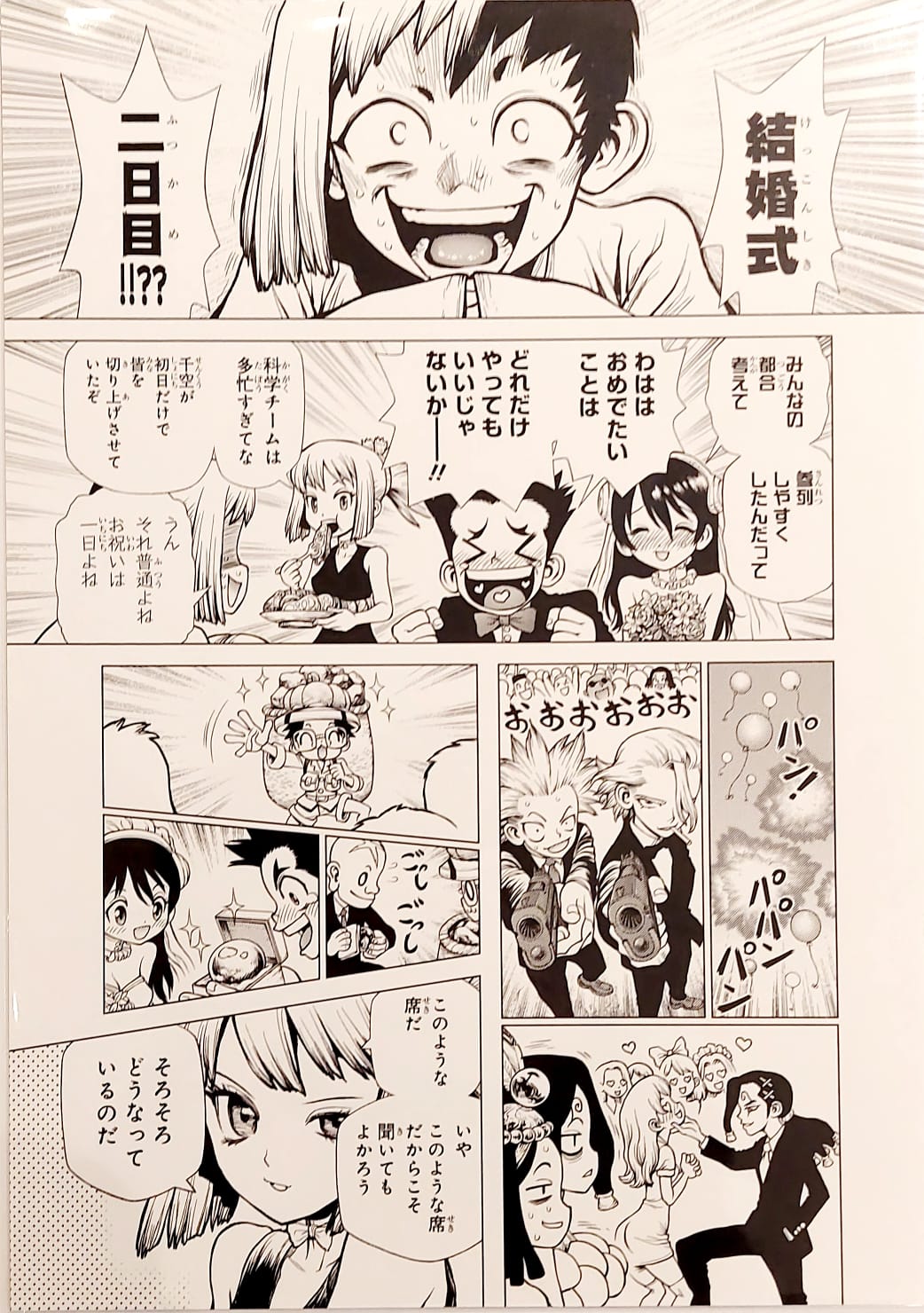 Dr. Stone Limited reproduction (Gen, Taiju, Yuzuriha and others)