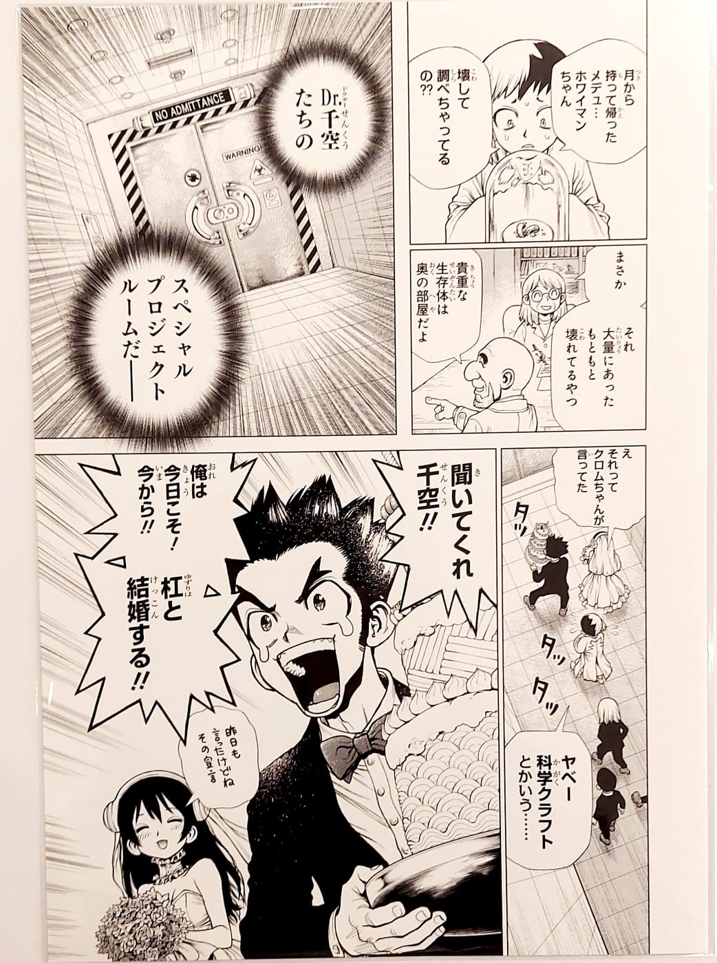 Dr. Stone Limited reproduction (Gen, Taiju, Yuzuriha)