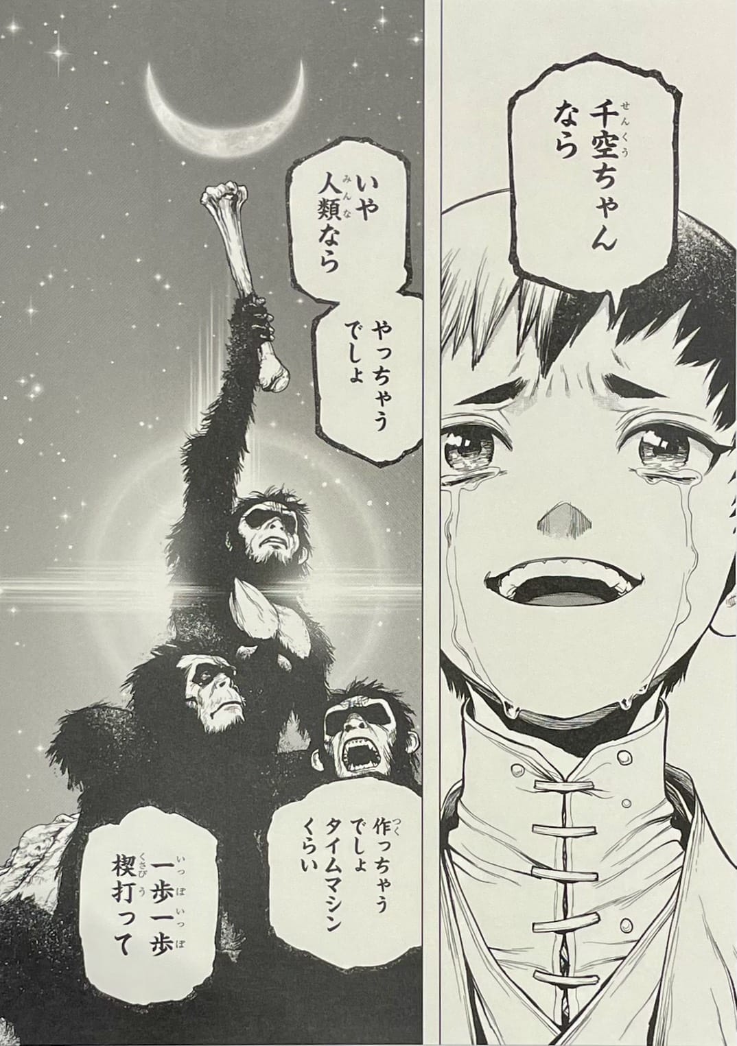 Dr. Stone Limited reproduction (Gen)