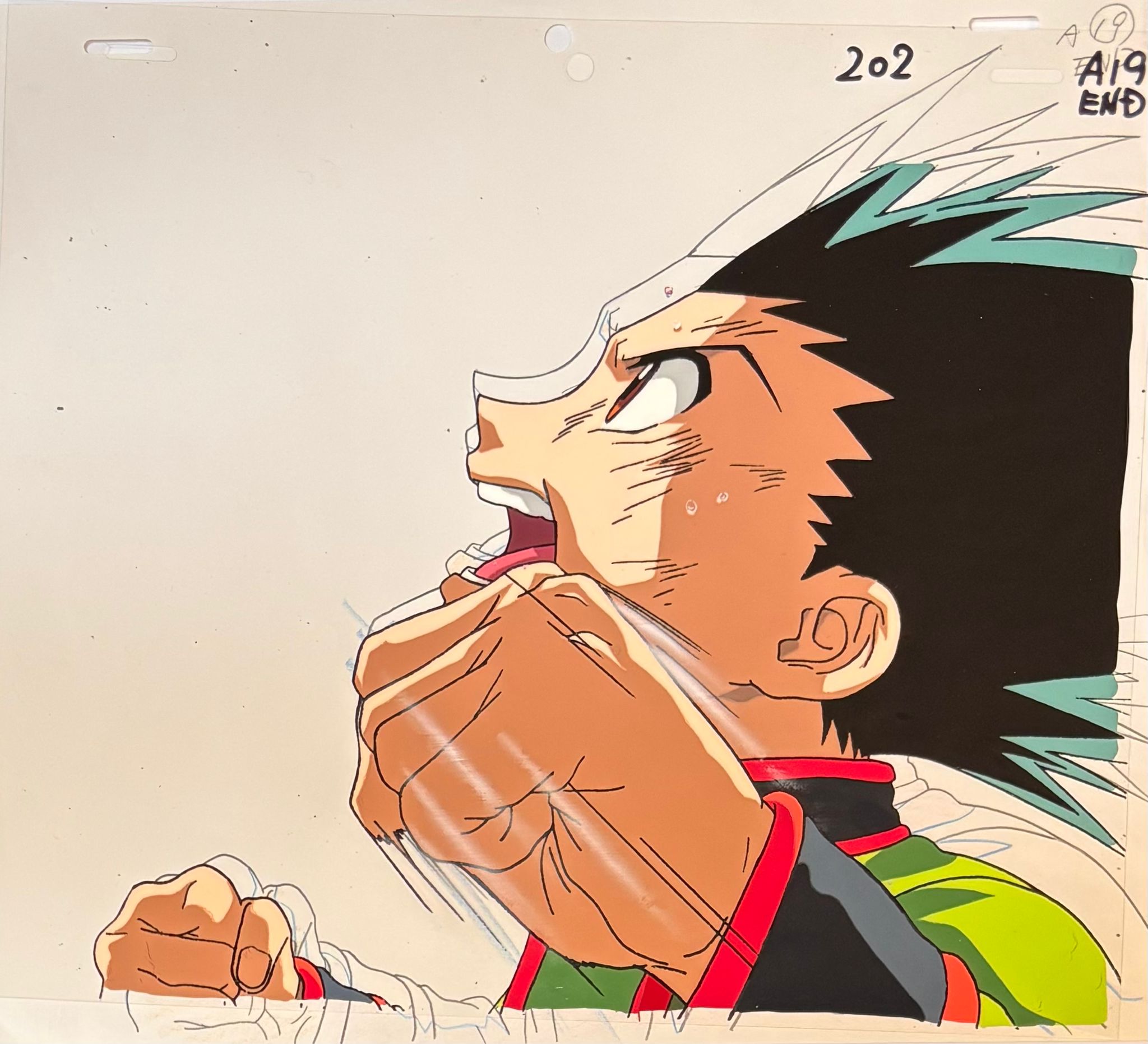 Hunter x Hunter Original Cel and Drawing (Freecss Gon)