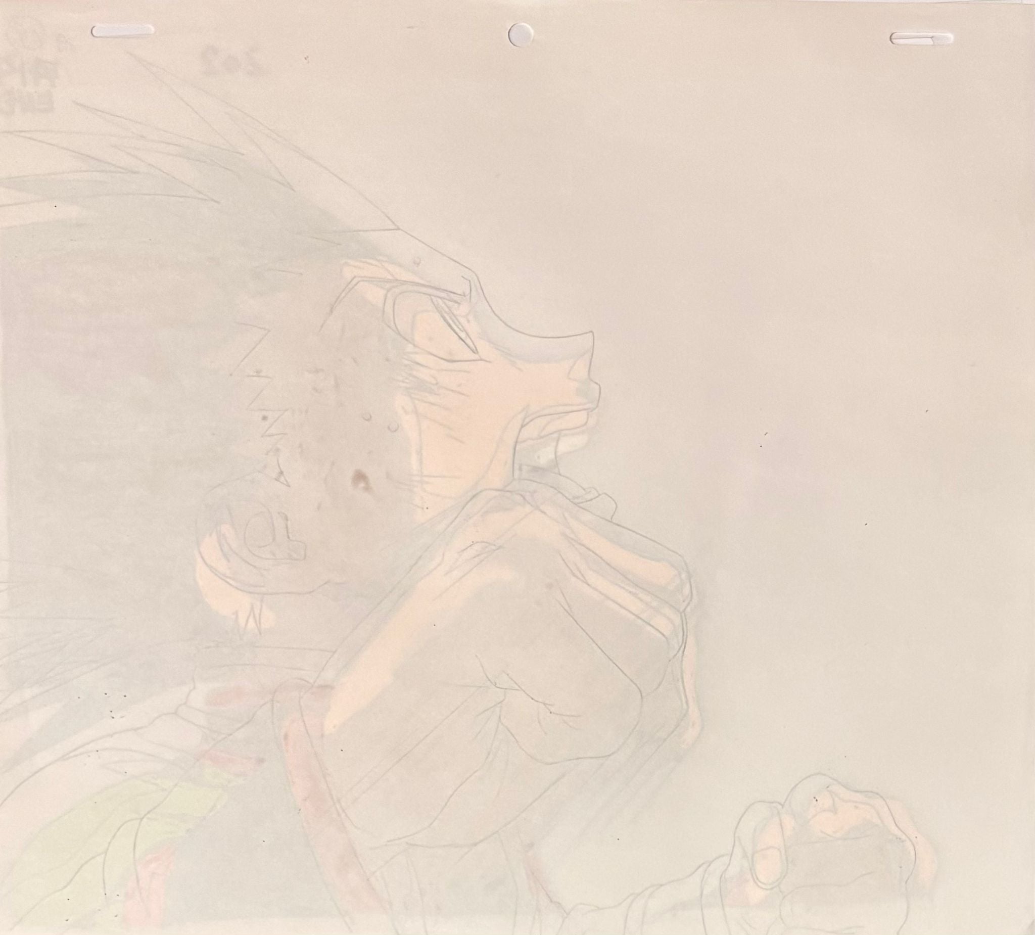 Hunter x Hunter Original Cel and Drawing (Freecss Gon)
