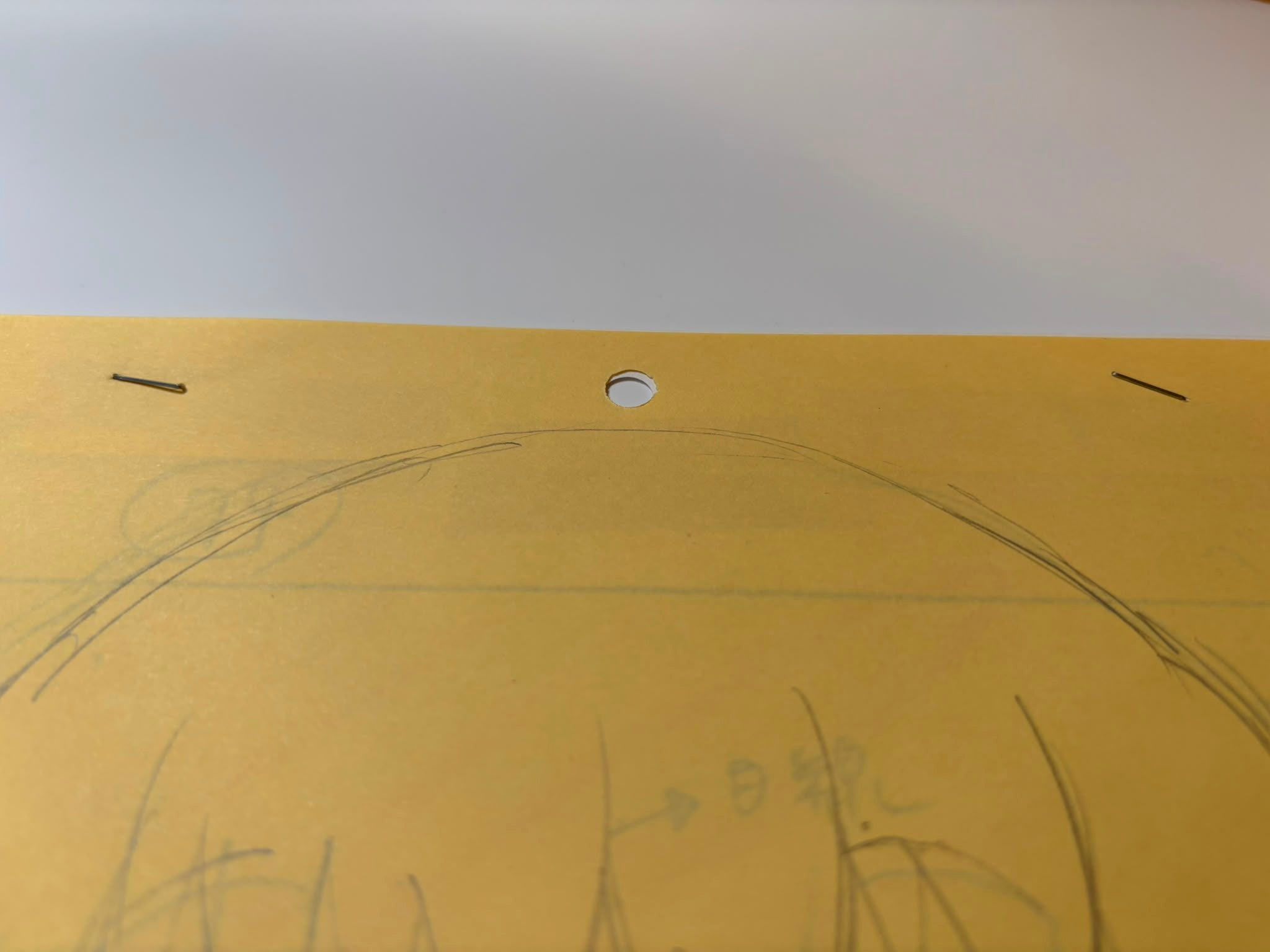 Fruits Basket Original Drawing (Tohru Honda)