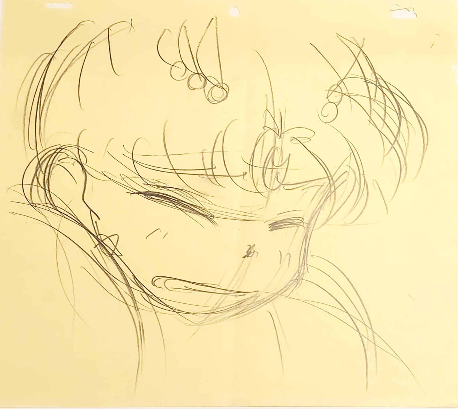 Sailor Moon Original Drawing (Sailor Moon)