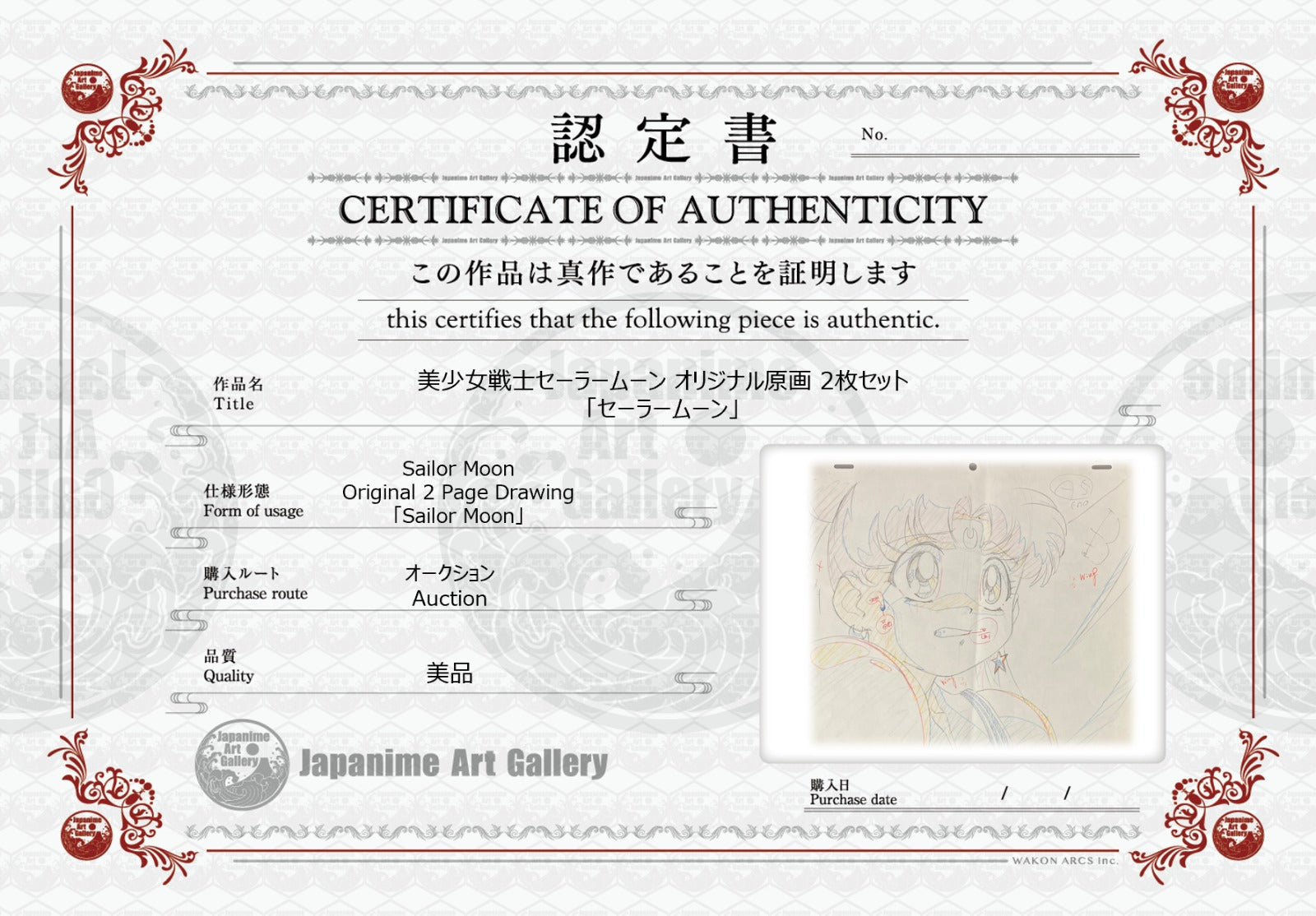 Sailor Moon Original Drawing (Sailor Moon)