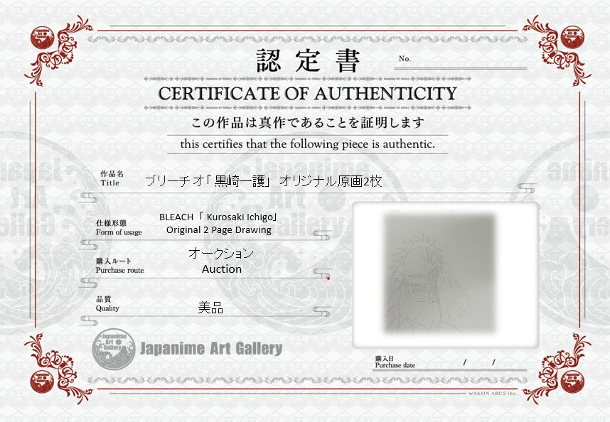 Boceto original de Bleach (Kurosaki Ichigo)