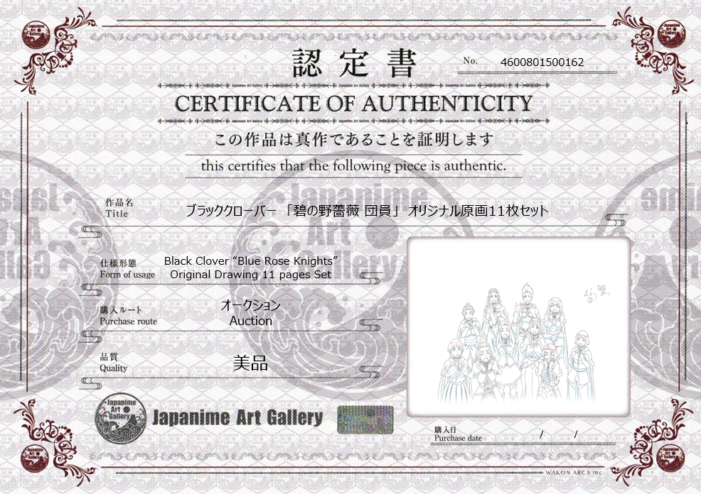 Black Clover Original Sketch (Blue Rose Knights) 11 pages Set