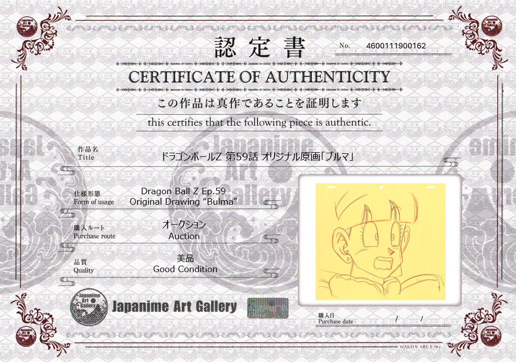 Dragonball Z Original Drawing (Bulma)