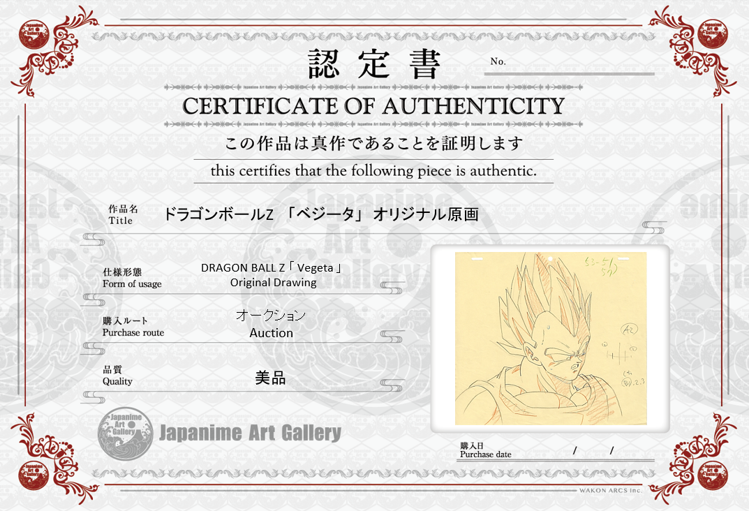 Dragonball Original Drawing (Vegeta)