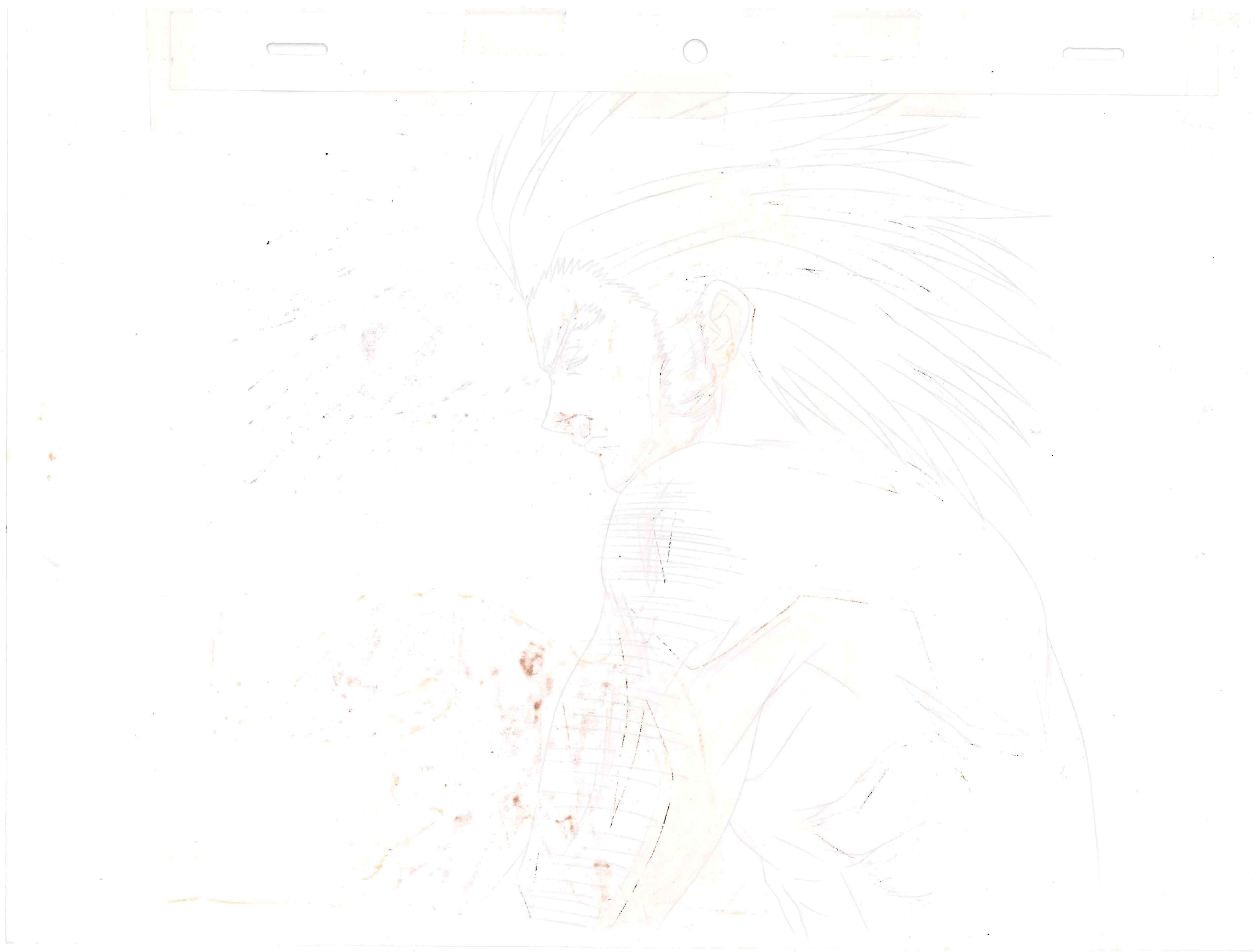 Cellulo et dôga originaux de Hunter x Hunter (Uvogin), ensemble de 2 pièces