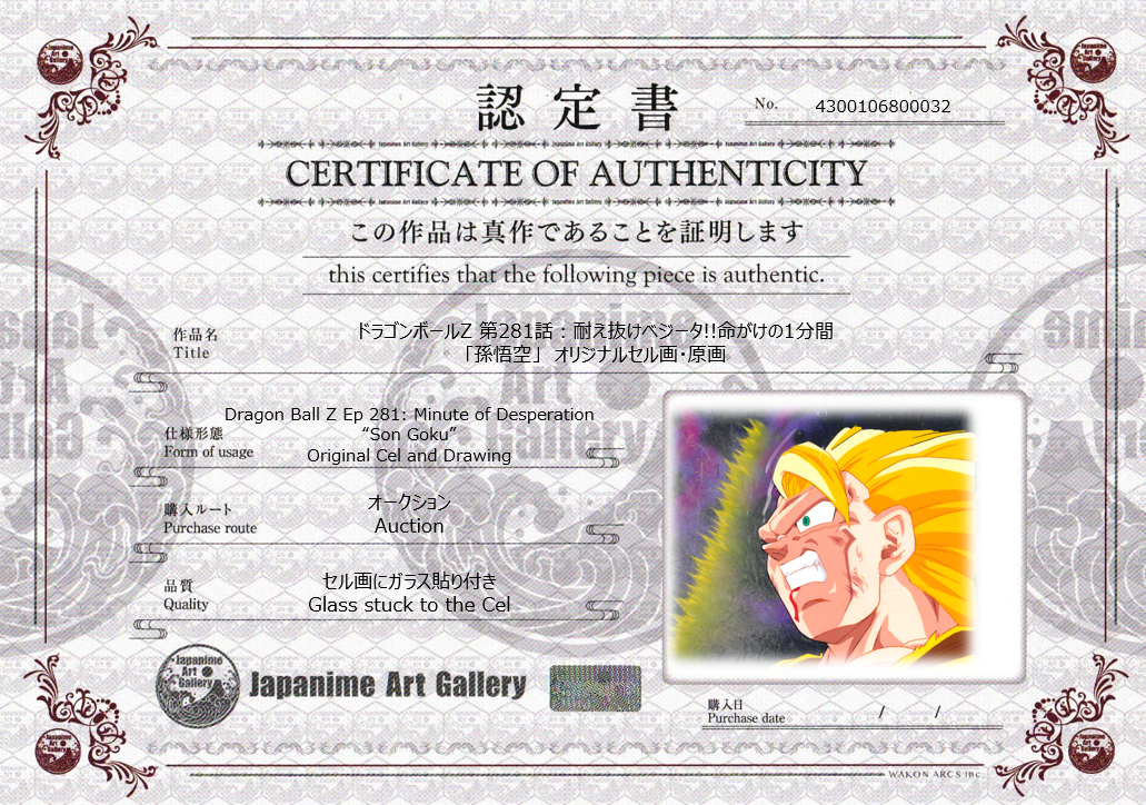 Dragon Ball Z Original Cel & Drawing (Son Goku)