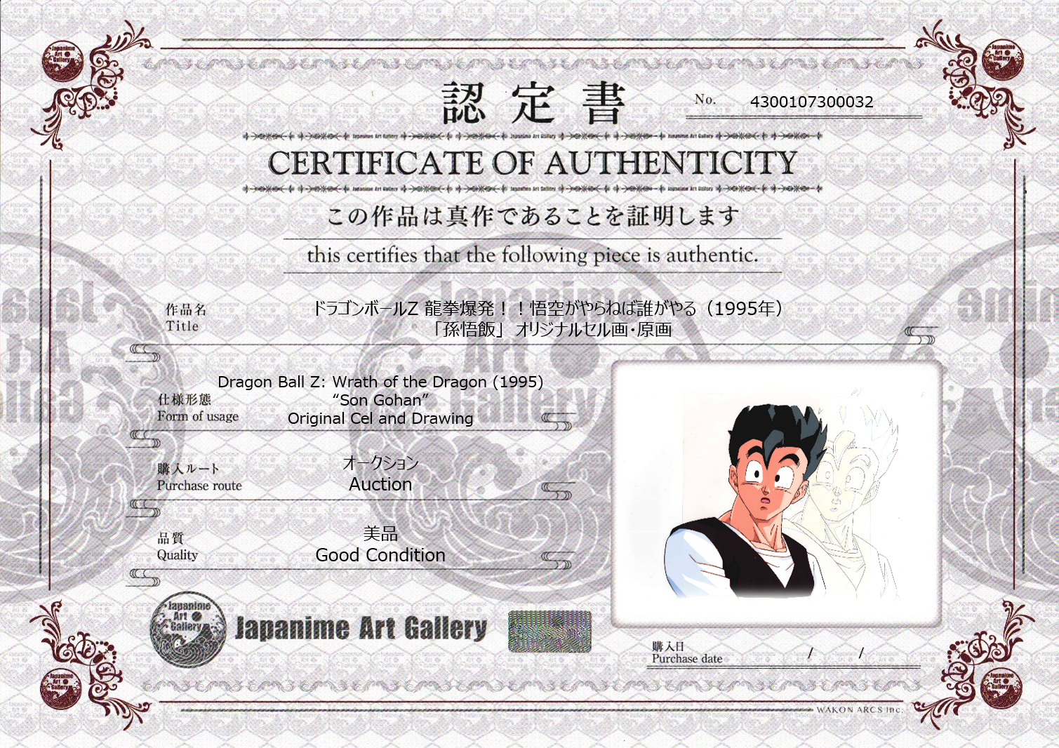 Dragon Ball Z Original Cel and Drawing (Son Gohan)