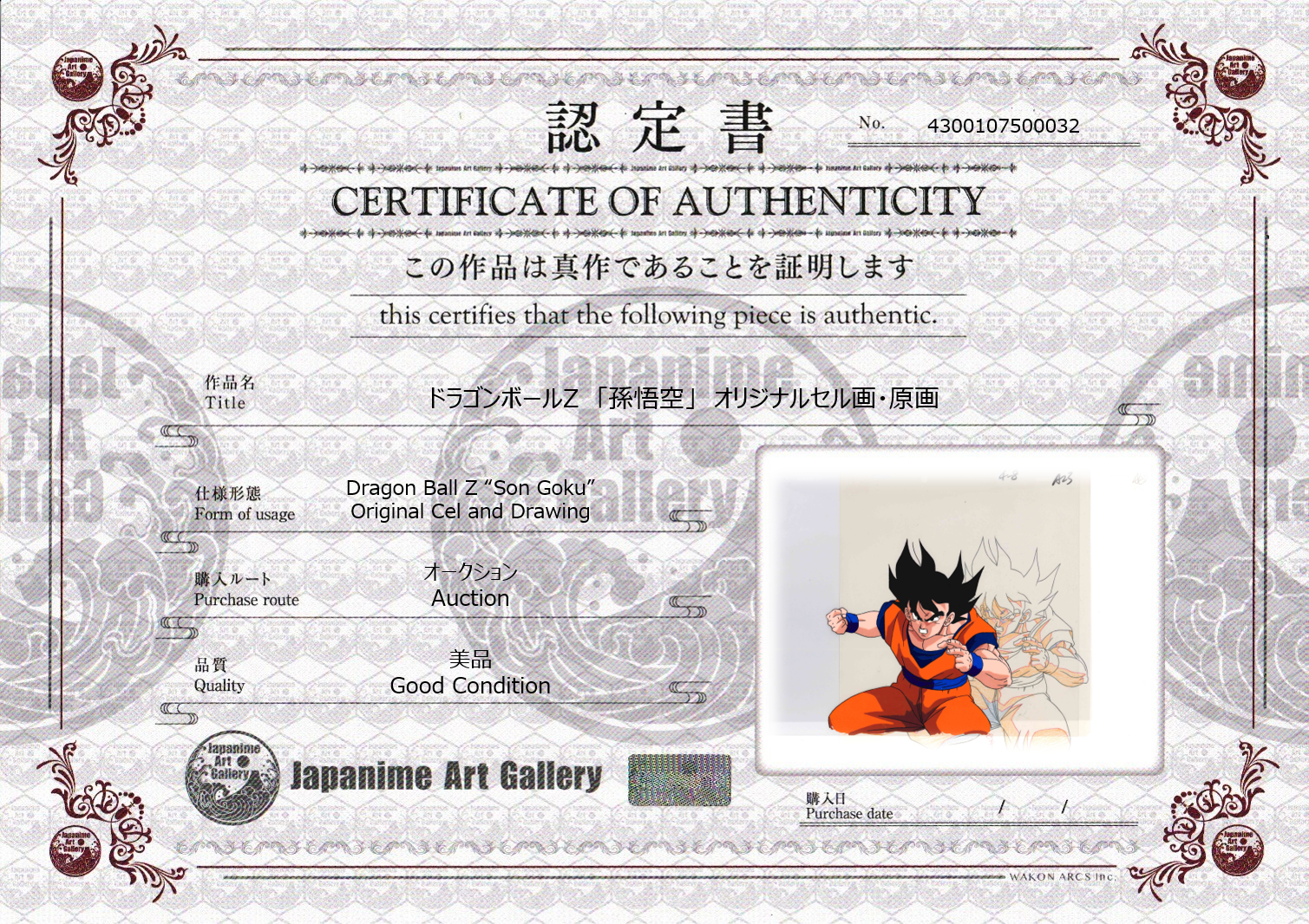 Dragon Ball Z Original Cel and Drawing (Son Goku)