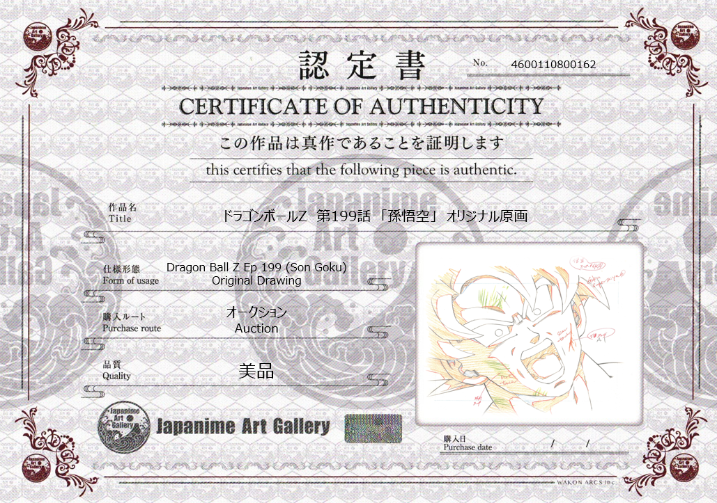 Dragon Ball Z Original Drawing (Son Goku)