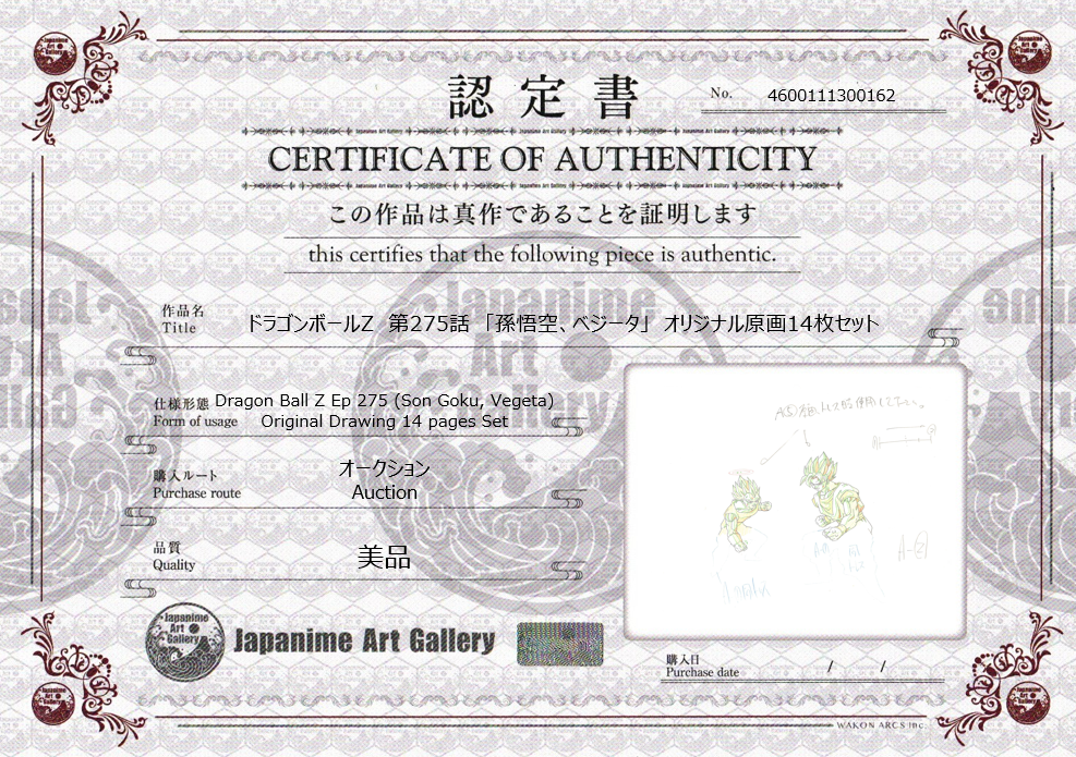 Dragon Ball Z Original Drawing (Son Goku, Vegeta) 11 pages Set