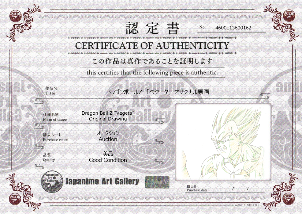 Dragon Ball Z Original Drawing (Vegeta)