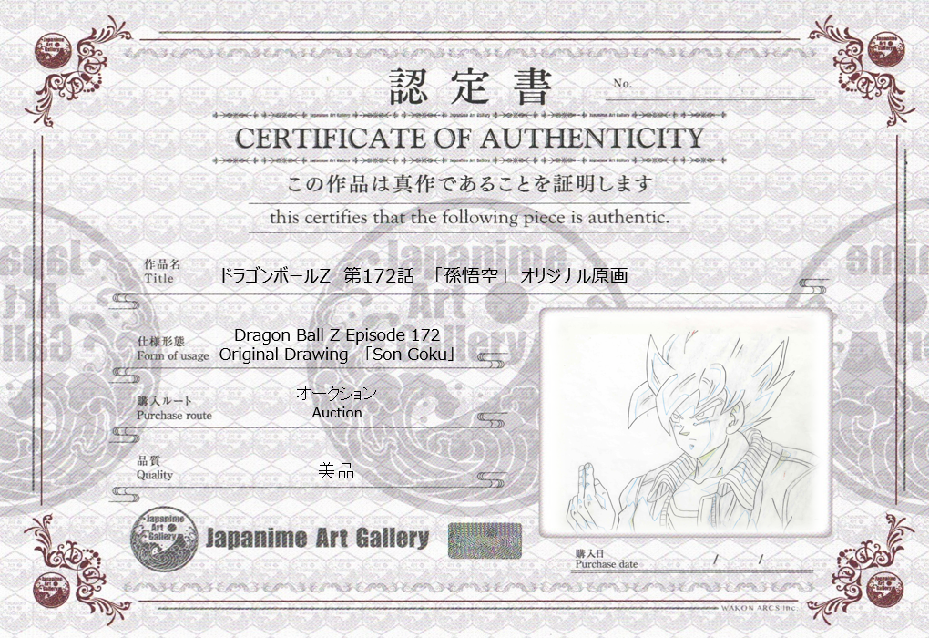 Dragon Ball Z Original Drawing (Son Goku)