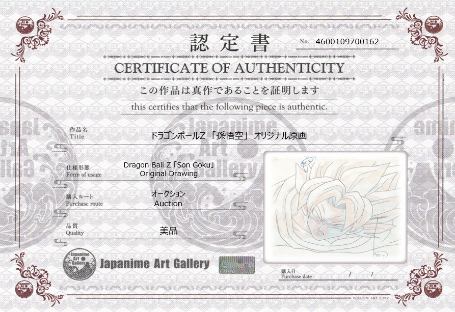 Dragon Ball Z Original Drawing (Son Goku)