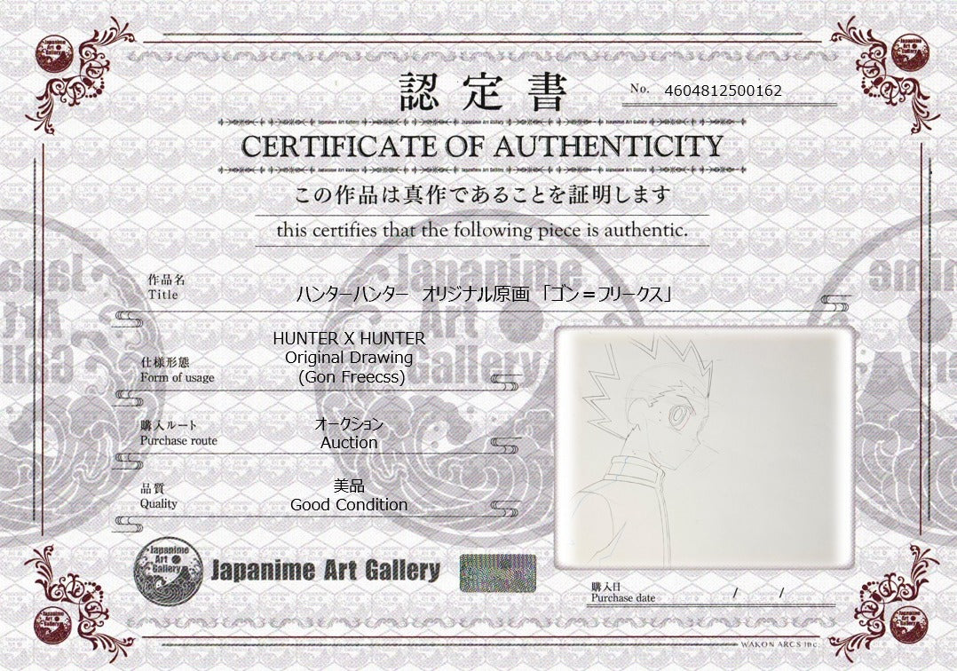 Hunter x Hunter Original Sketch (Gon Freecss)