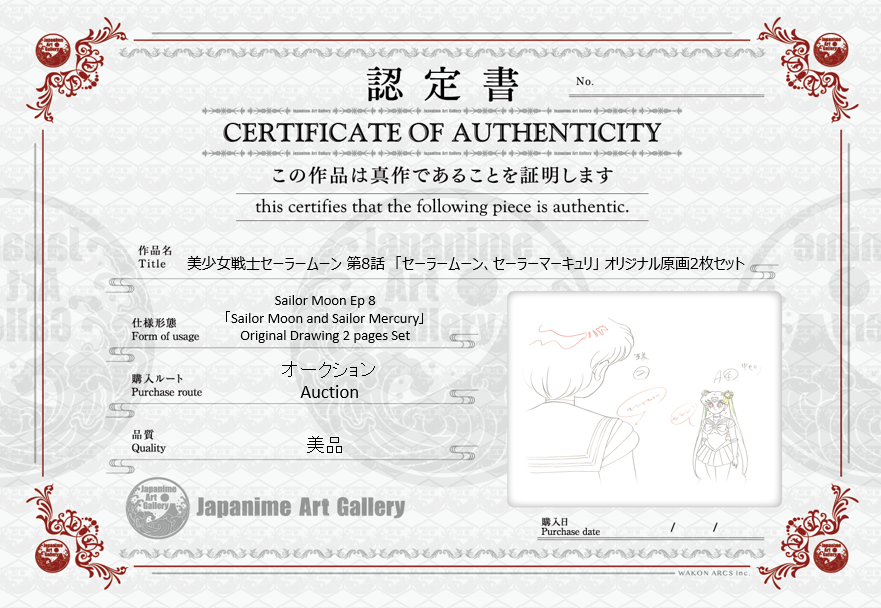 Sailor Moon Original Drawing (Sailor Moon, Sailor Mercury) 2 pages Set