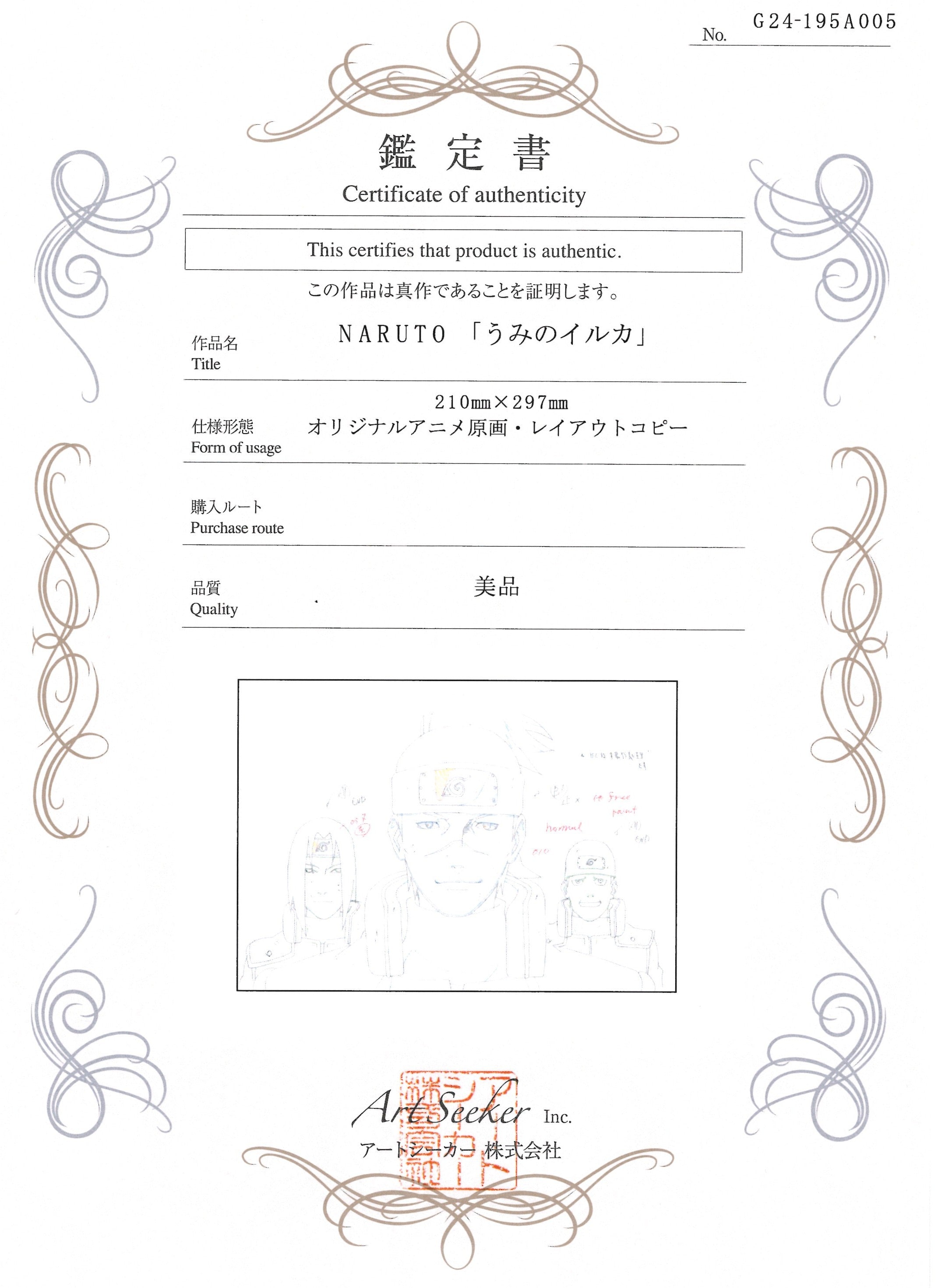 Naruto Original Sketch (Umino Iruka)