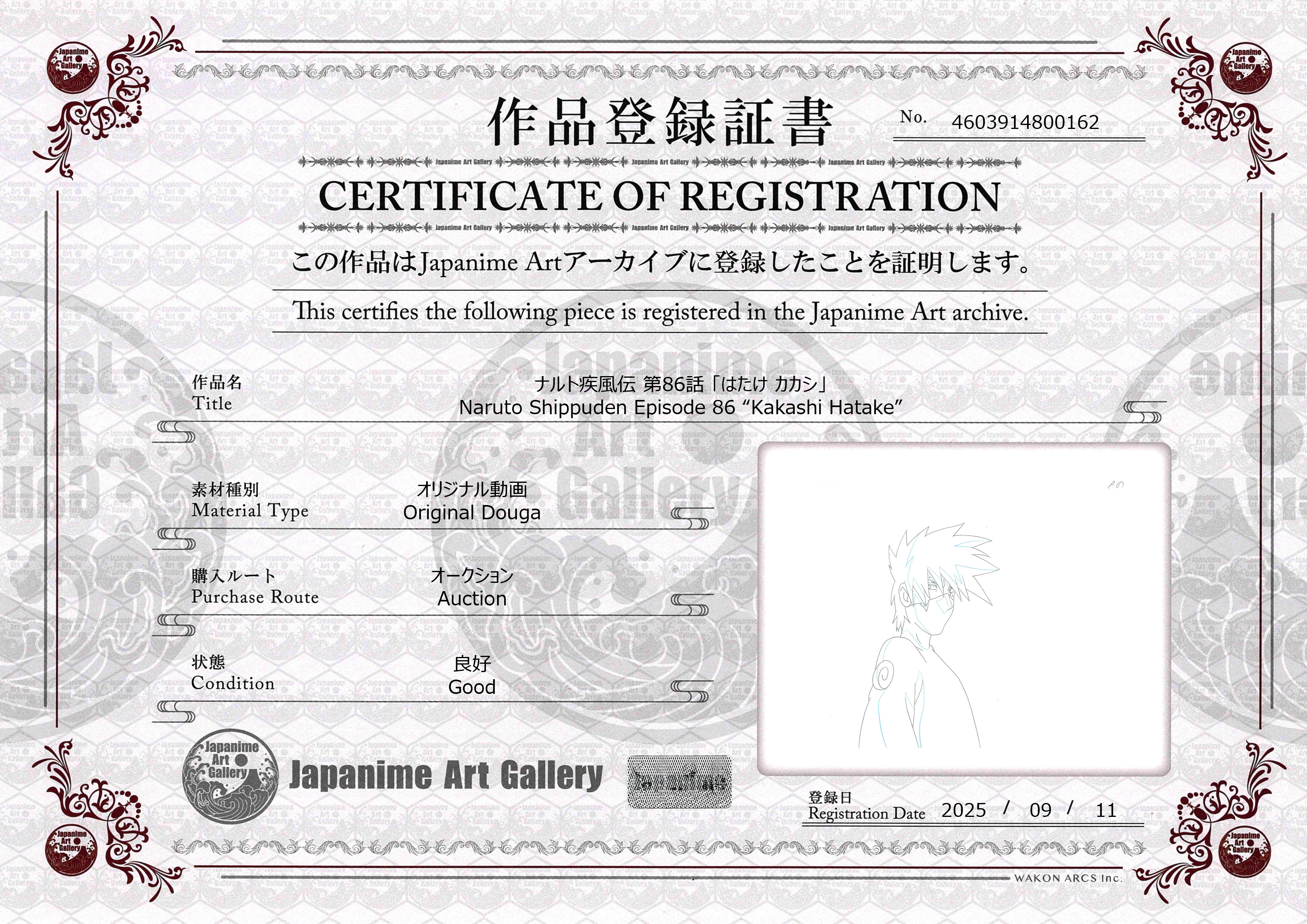 Naruto Shippuden Original Douga (Kakashi Hatake)
