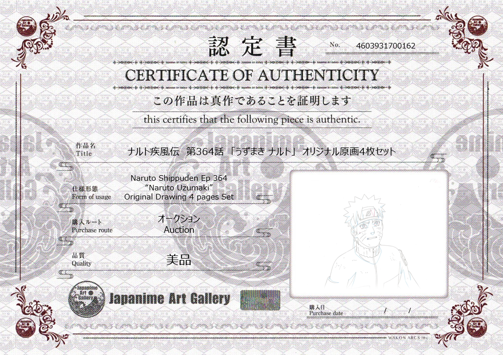 Naruto Shippuden Original Sketch (Naruto Uzumaki) 4 pages Set