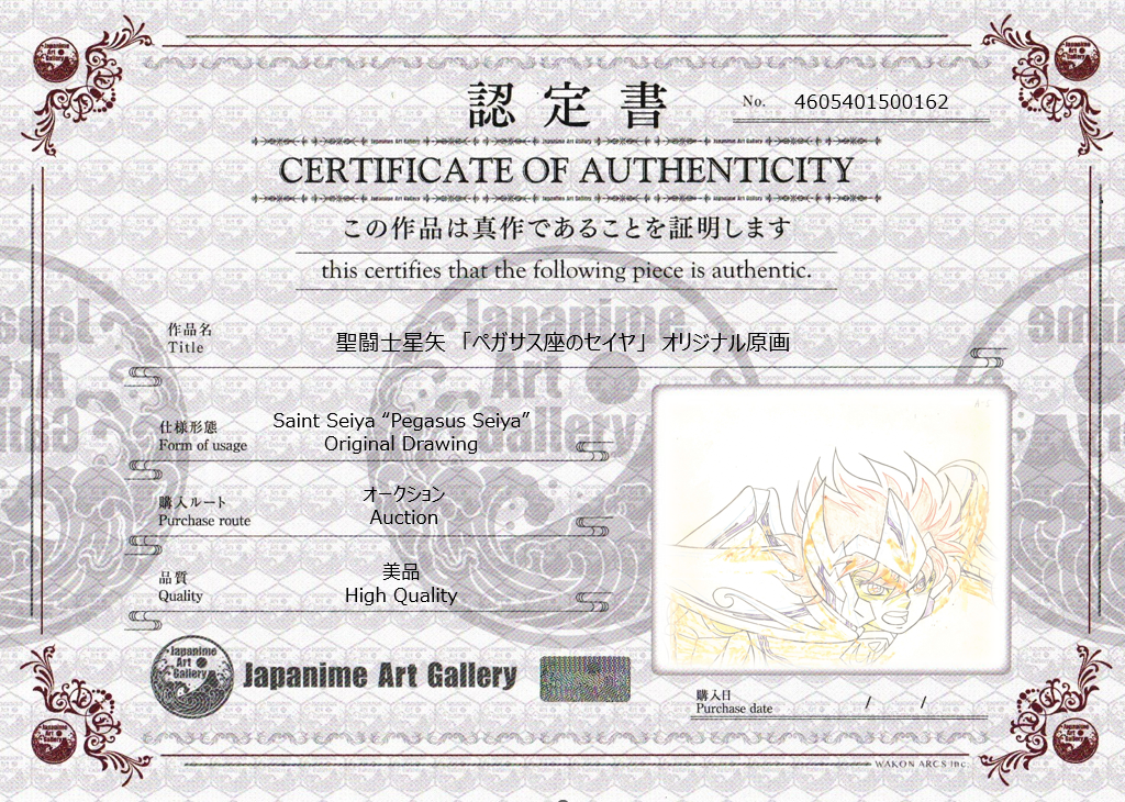 Saint Seiya Original Sketch (Pegasus Seiya)