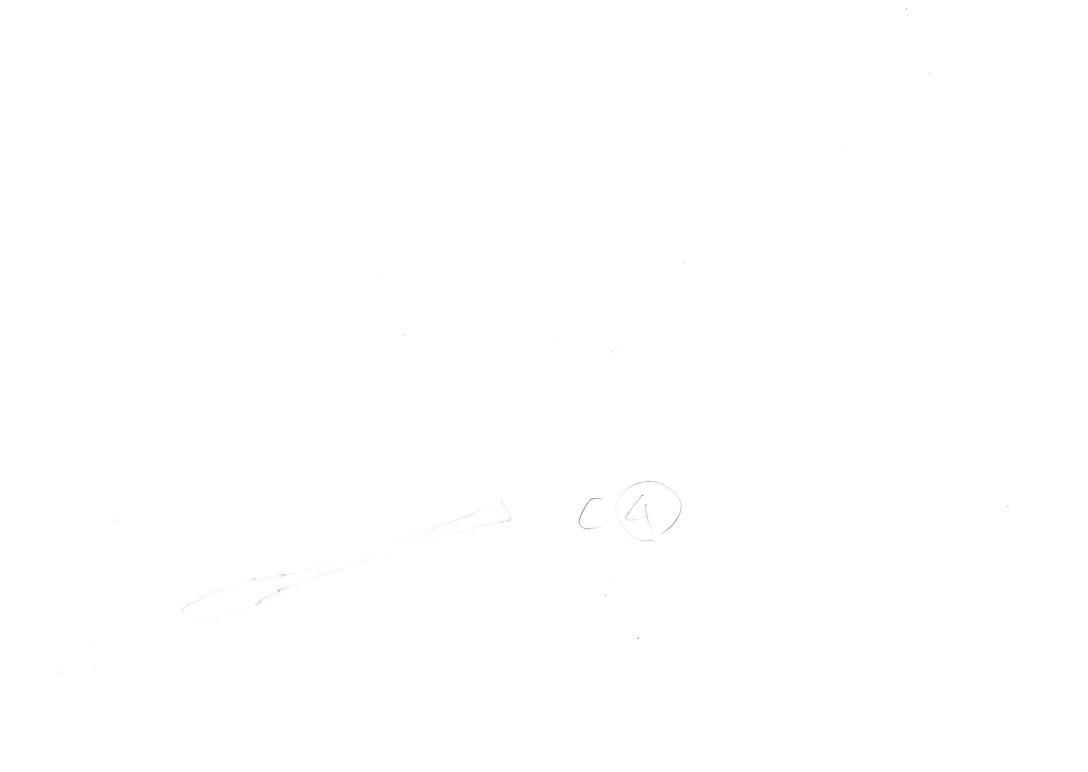 Black Clover Original Drawing (Rhya) 6-page Set