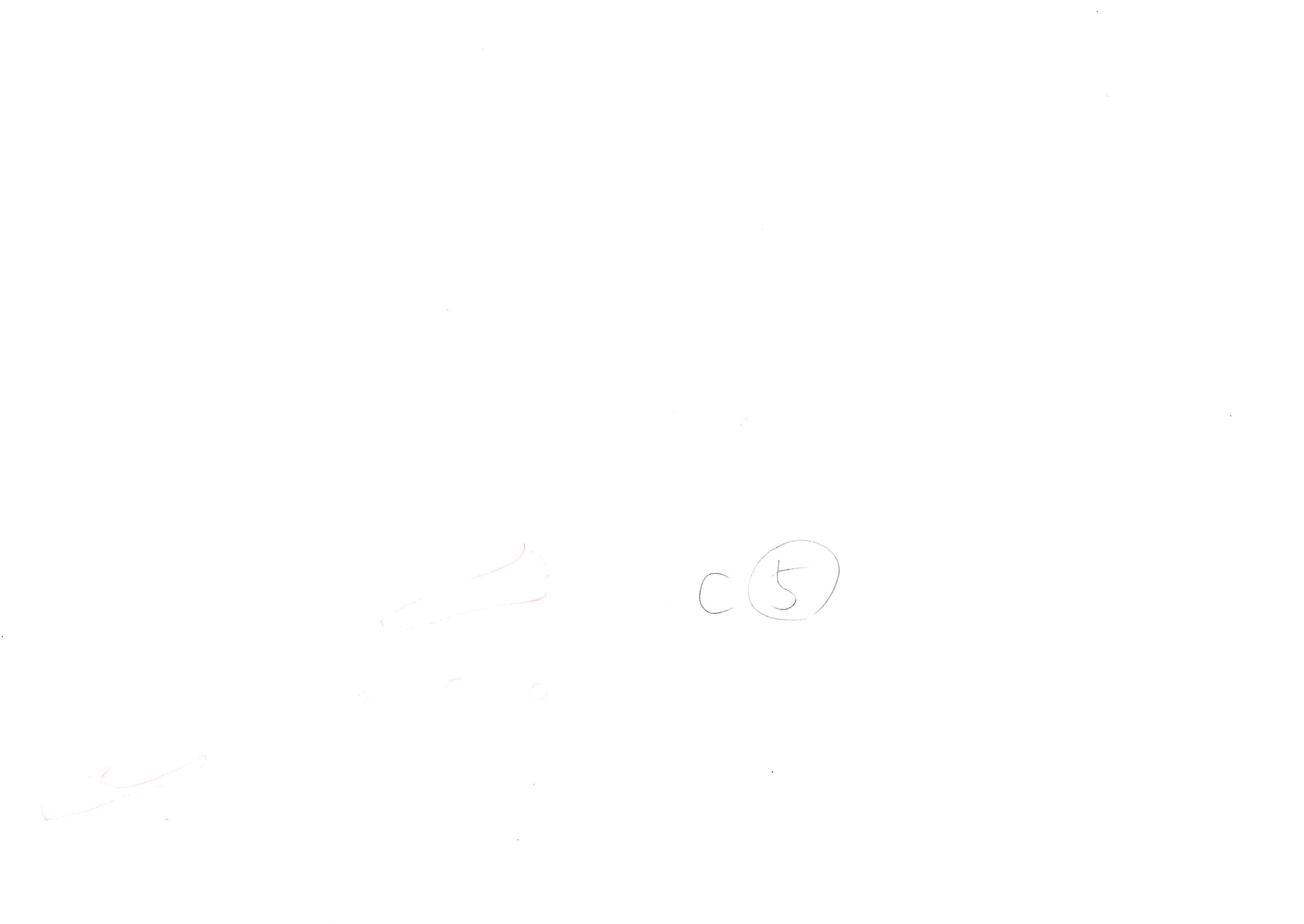 Black Clover Original Drawing (Rhya) 6-page Set