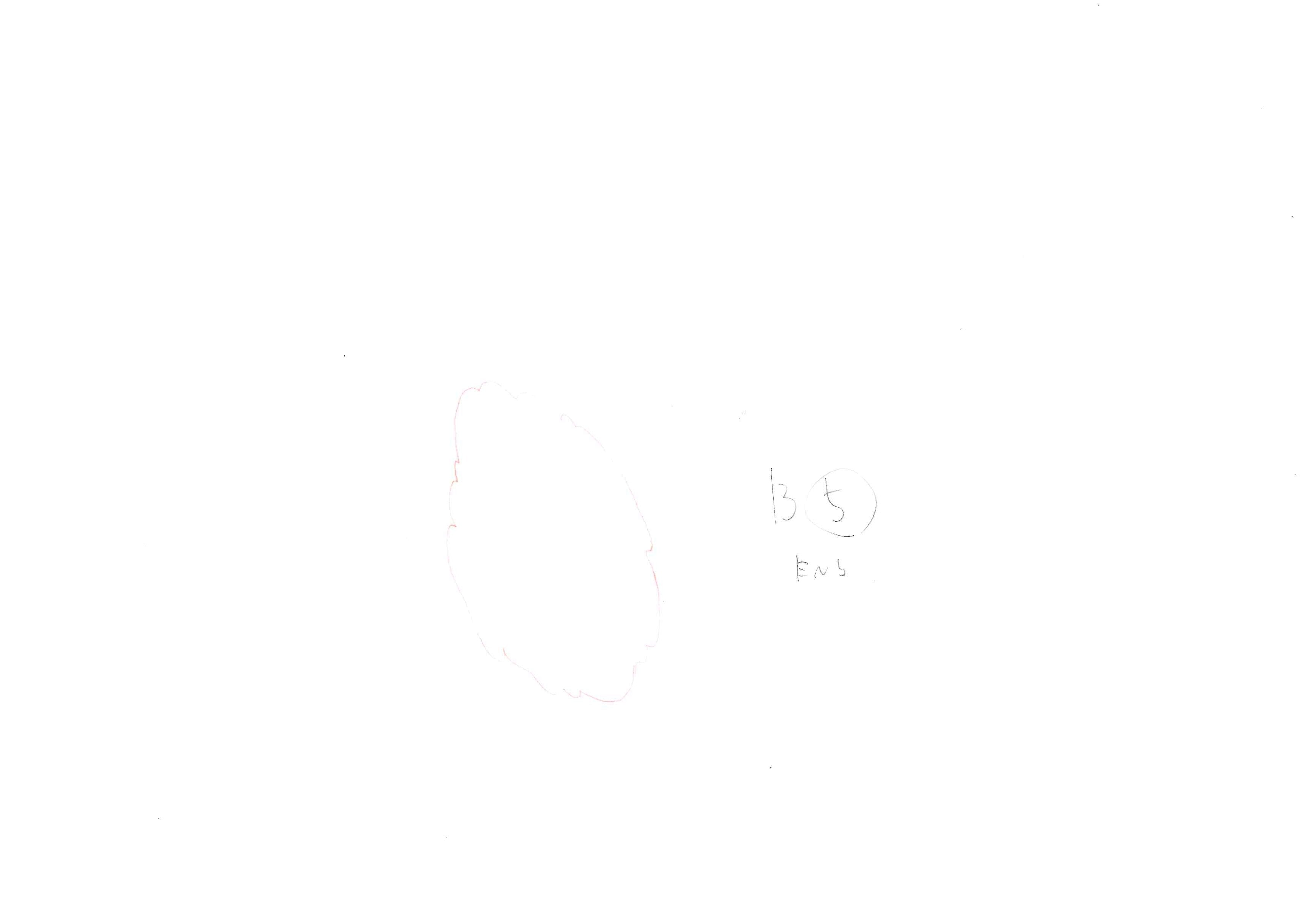 Black Clover Original Drawing (Rhya) 5-page Set