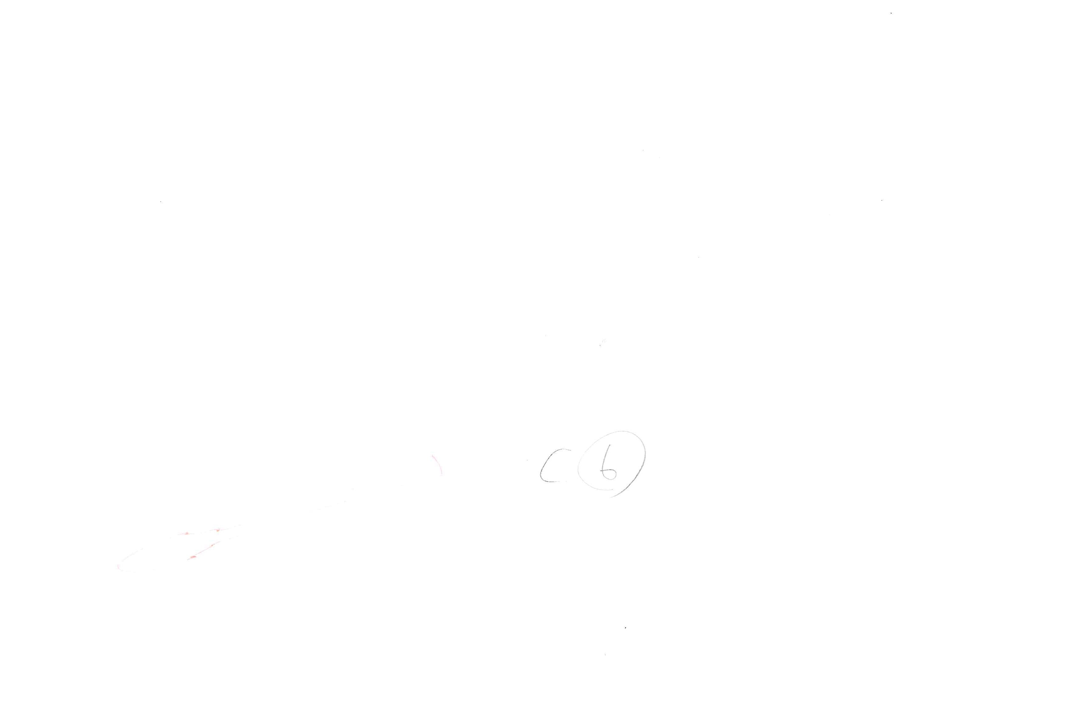 Black Clover Original Drawing (Rhya) 5-page Set