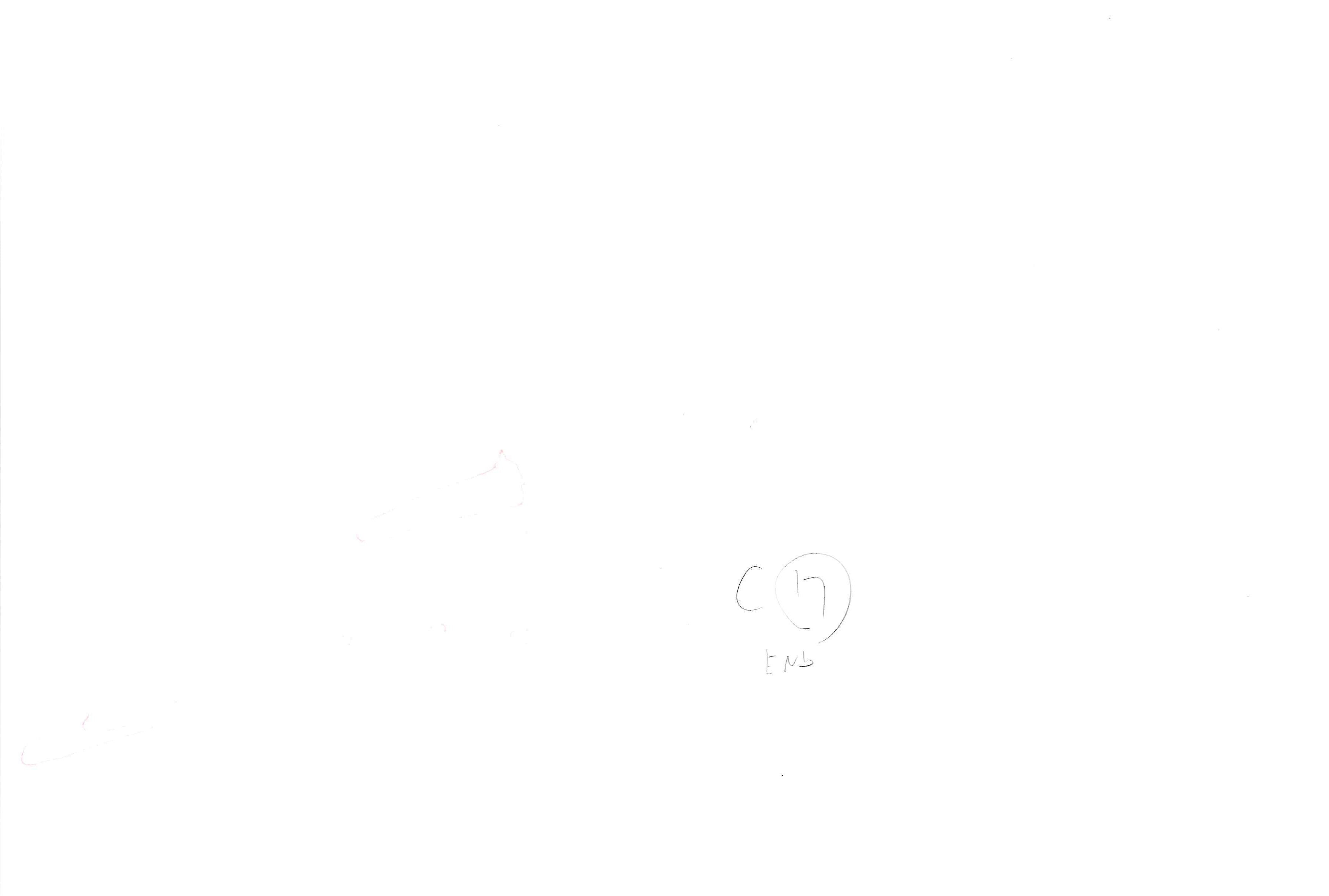 Black Clover Original Drawing (Rhya) 5-page Set