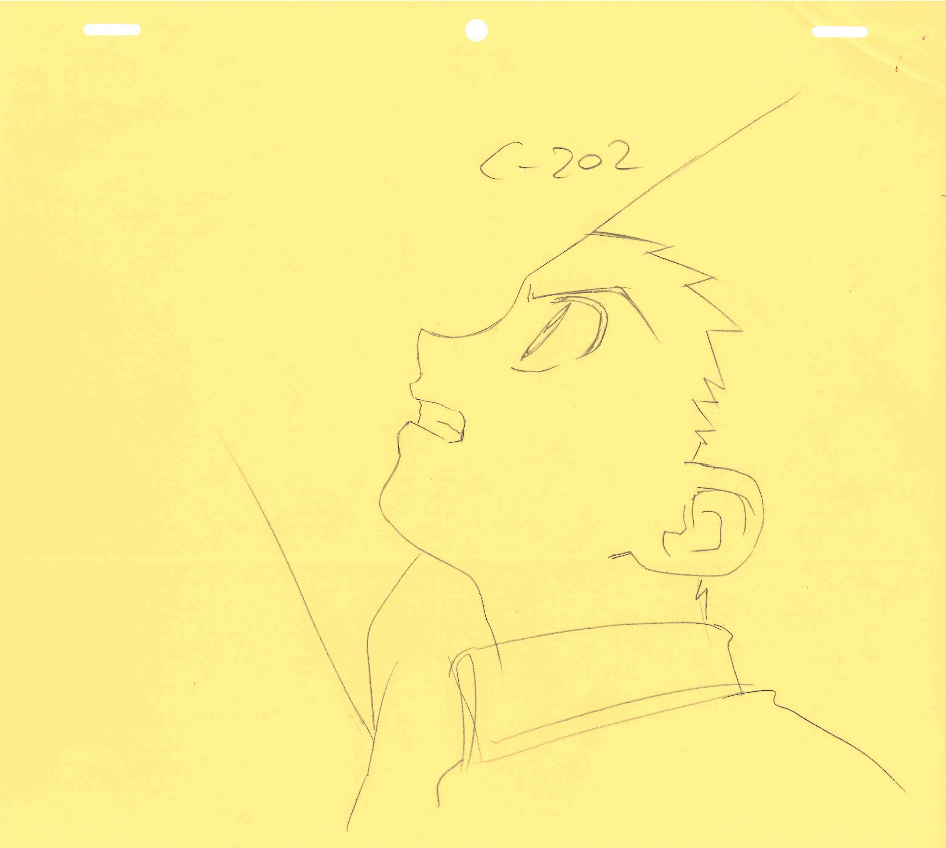 Hunter x Hunter (1999 Series) Original Layout, Genga (Gon Freecss) 2-Piece Set