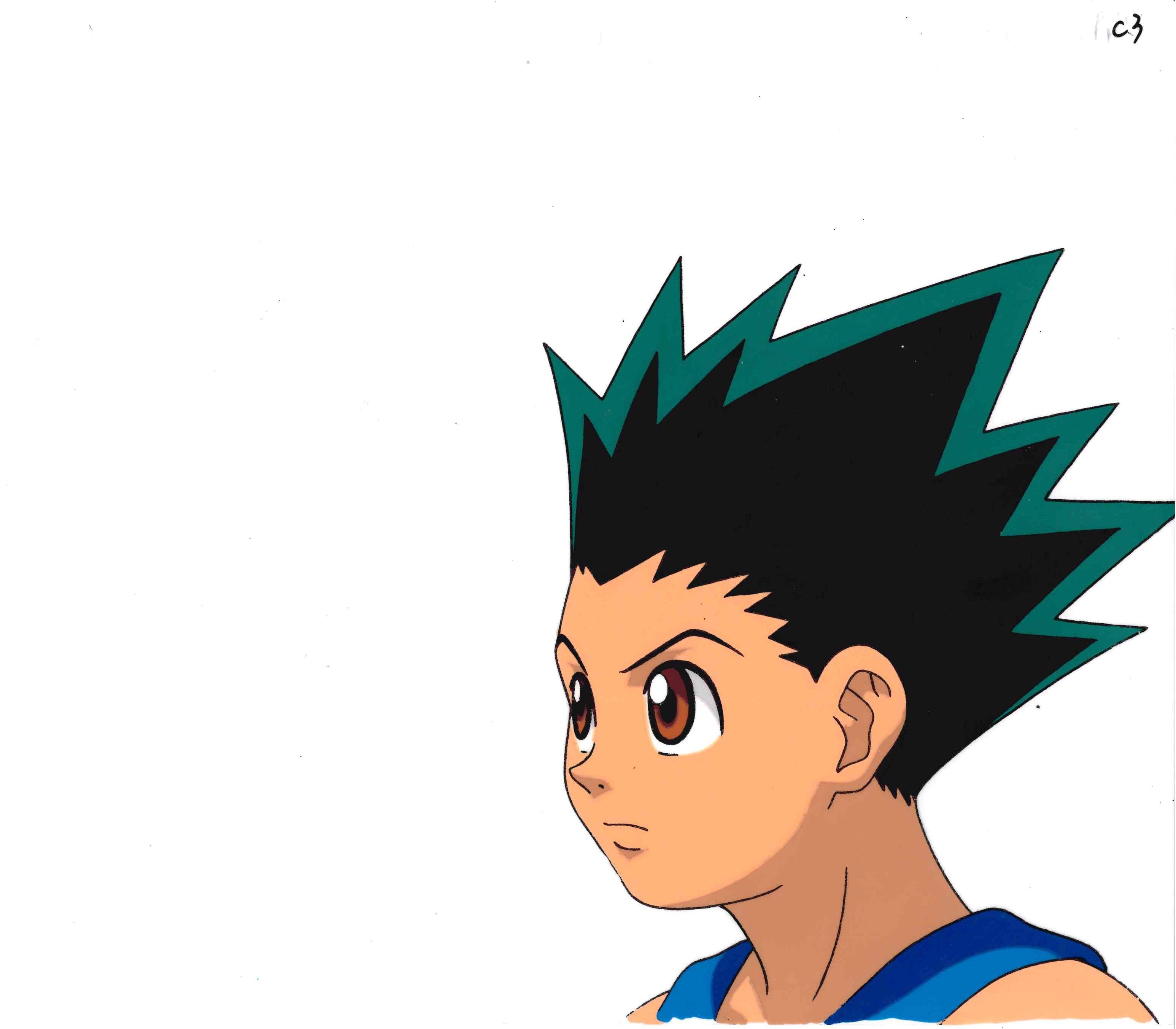 全职猎人 原画集和草图（Gon&amp;Wing）