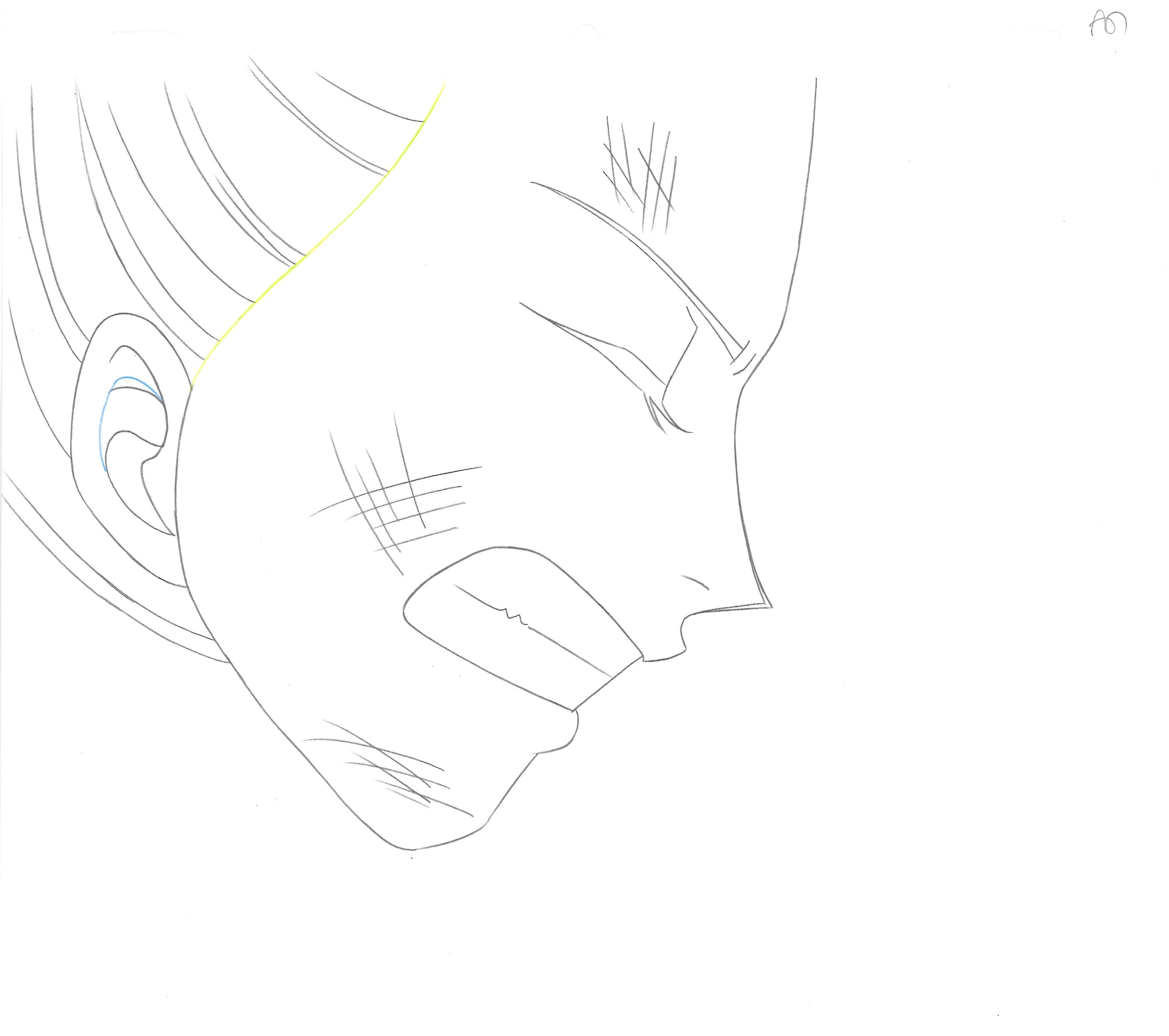 One Piece Original 4 Page Drawing (Vivi)