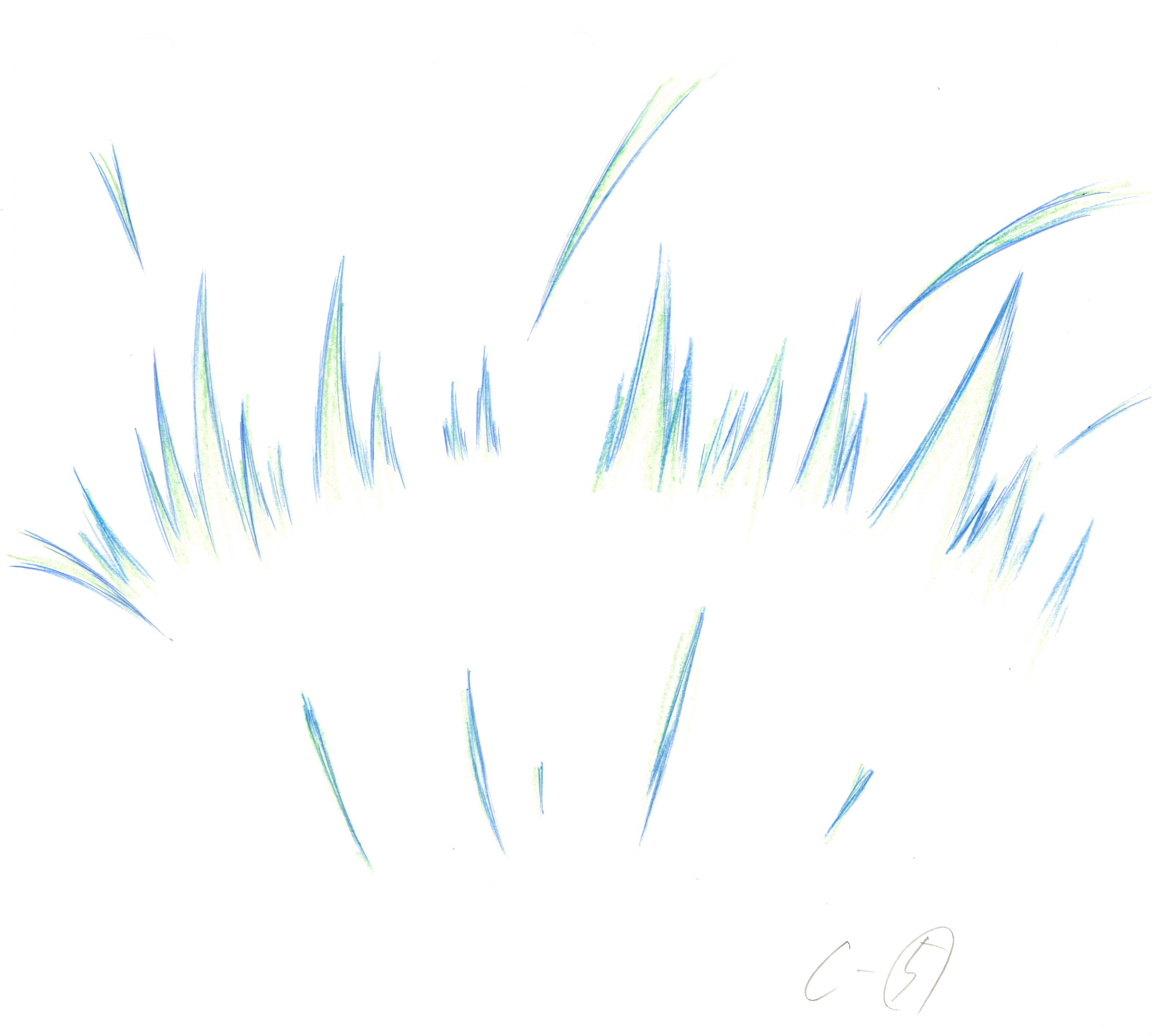 Dragon Ball Z Original Drawing (Son Goku, Vegeta) 11 pages Set