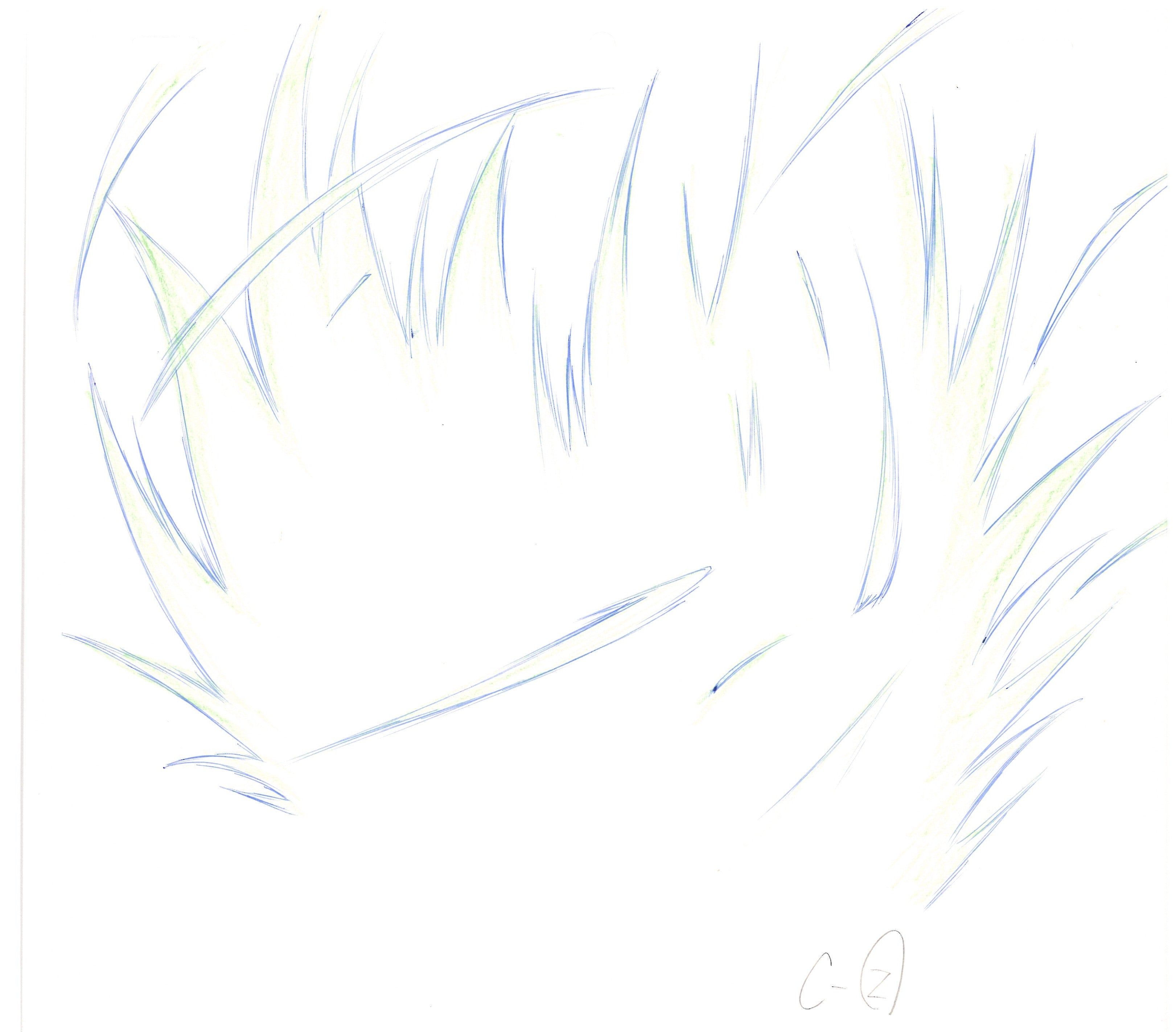 Dragon Ball Z Original Drawing (Son Goku, Vegeta) 14 pages Set