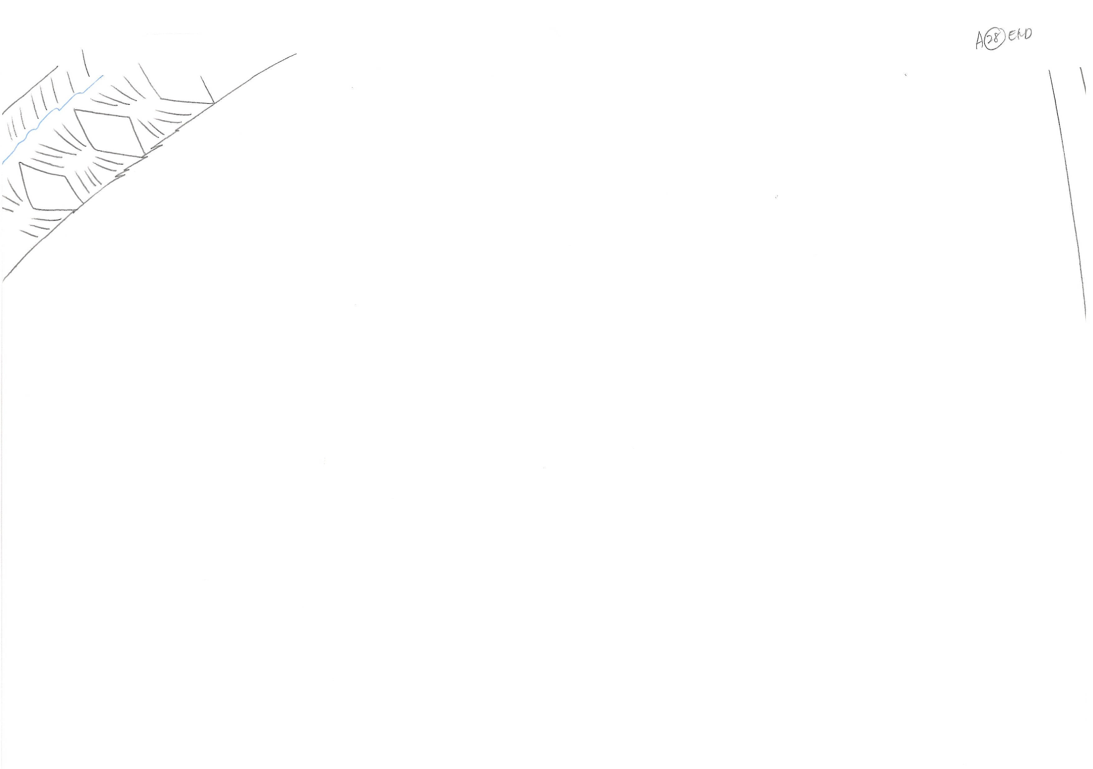 Bleach Original Drawing (Byakuya Kuchiki vs Koga Kuchiki) 13 pages Set