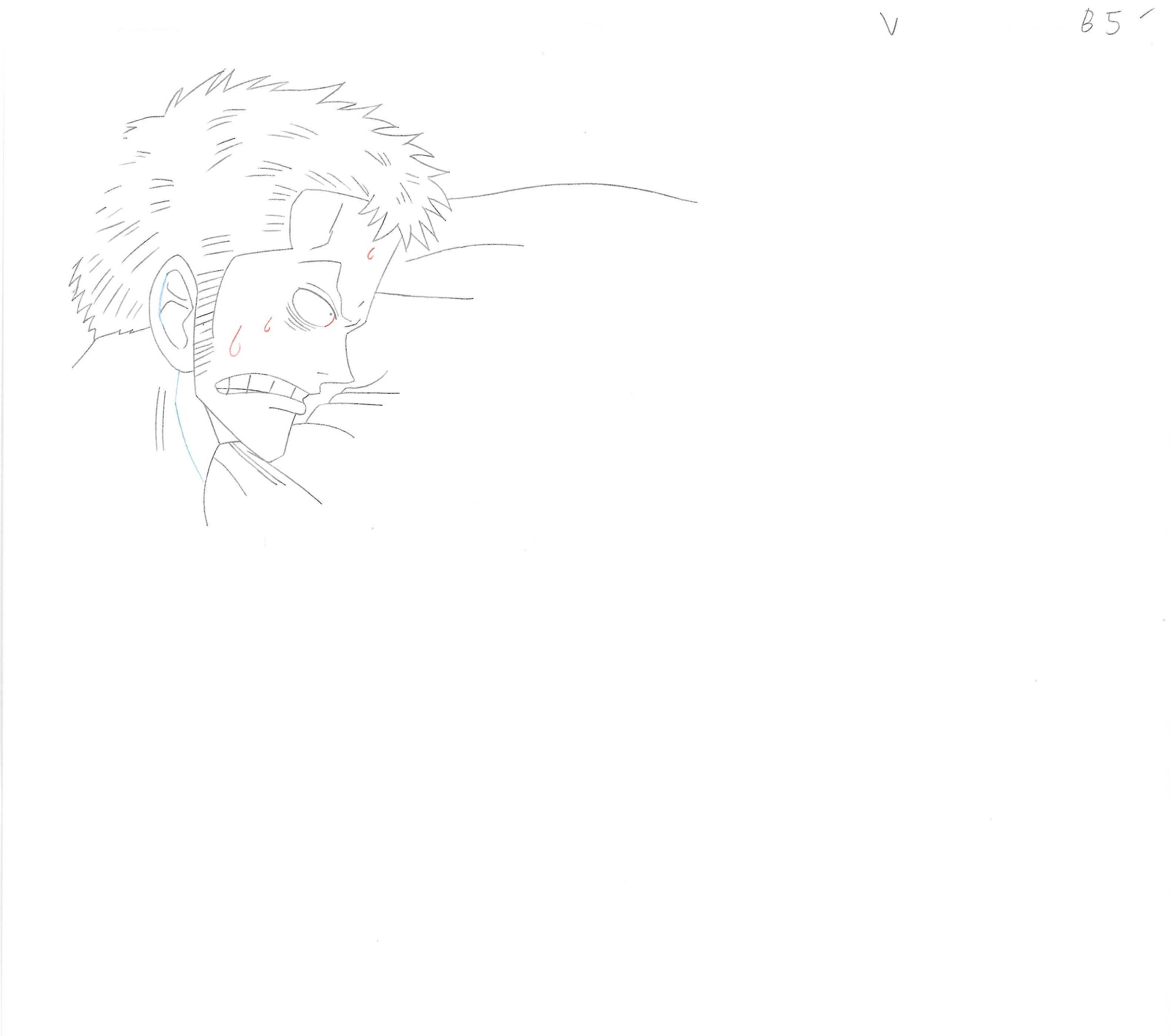 One Piece Original Sketch (Roronoa Zoro) 7 pages Set