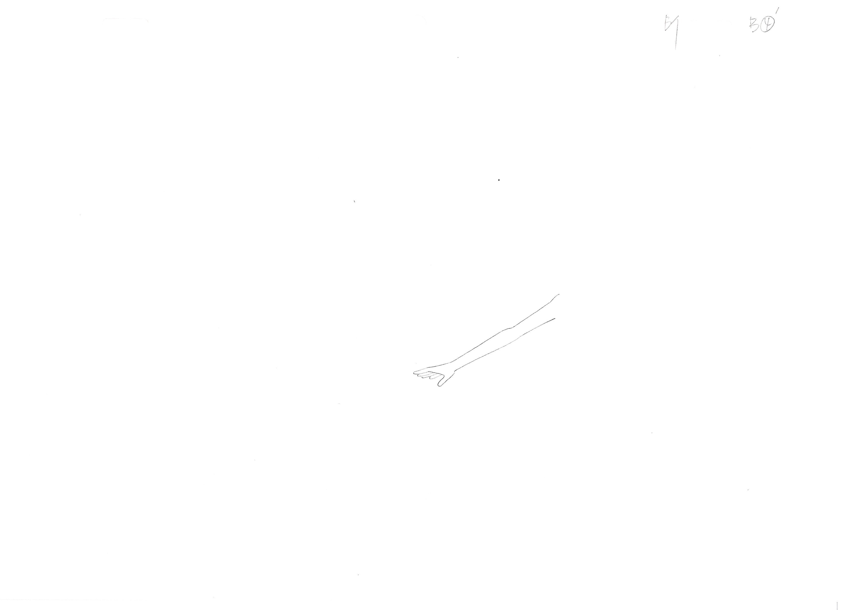 Black Clover Original Sketch (Yuno Grinberryall, Sylph) 17-Page Set