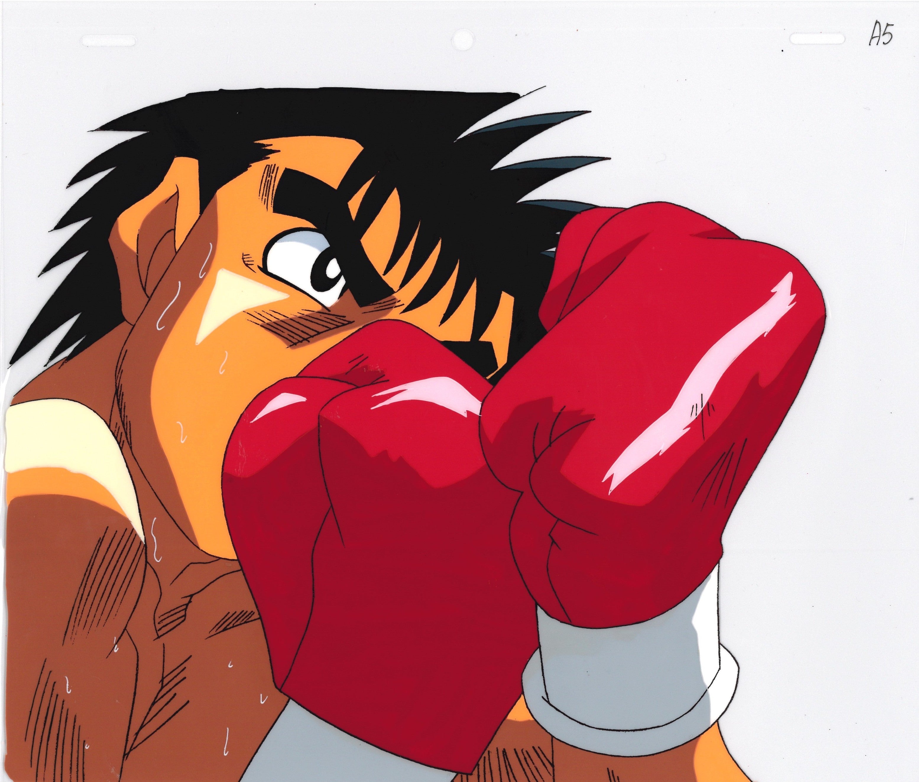 Hajime No Ippo Original Cel and Drawing (Ippo Makunouchi)
