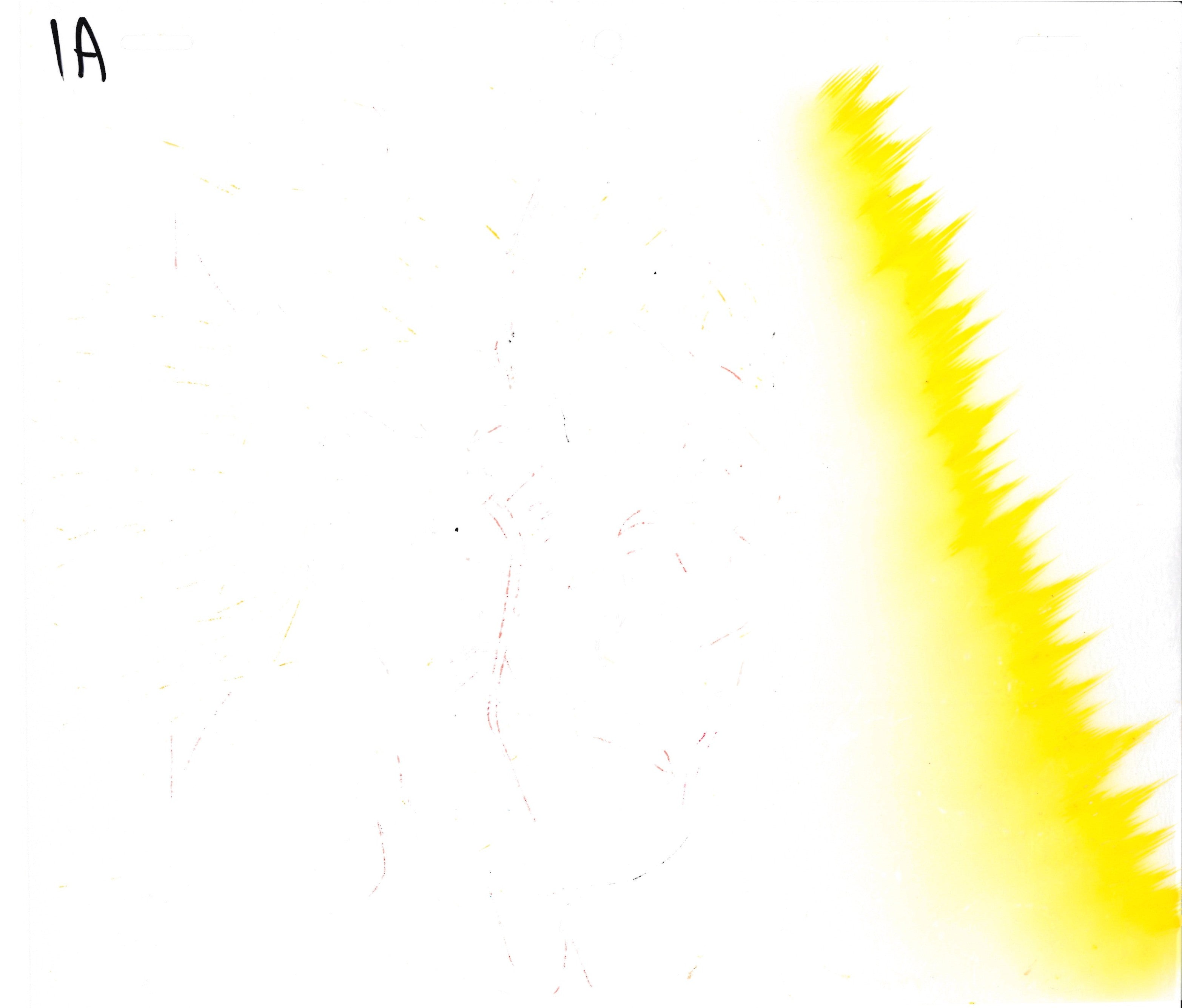 Dragon Ball Z Original Cel & Drawing (Son Goku)
