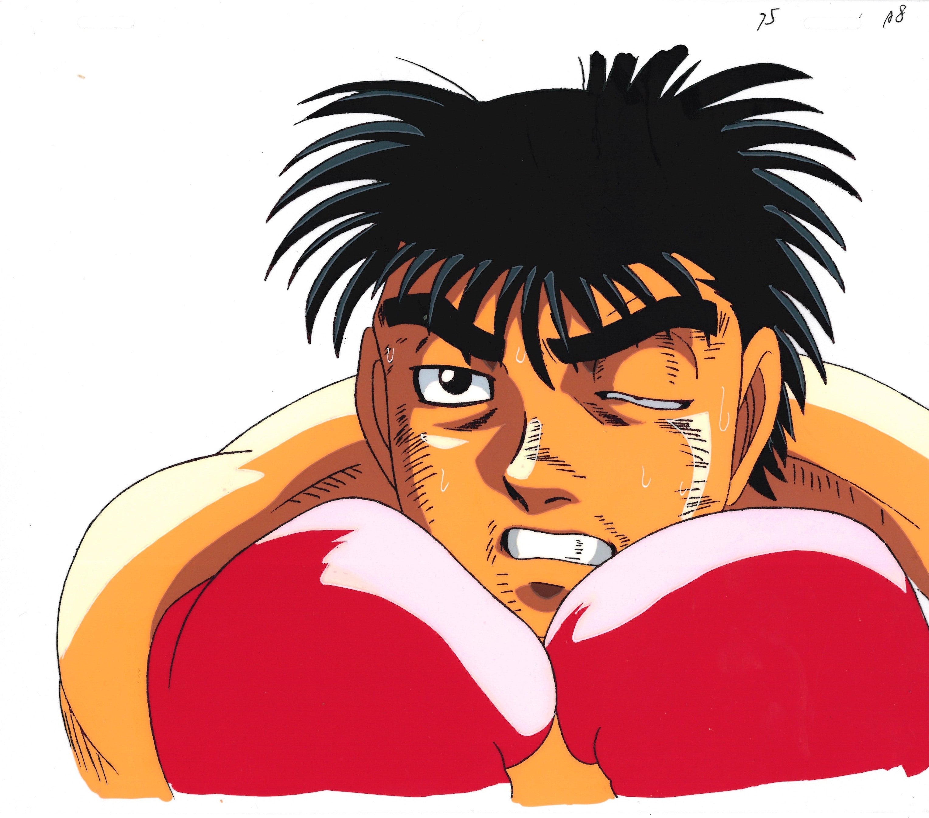 Hajime No Ippo Original Cel and Drawing (Ippo Makunouchi)