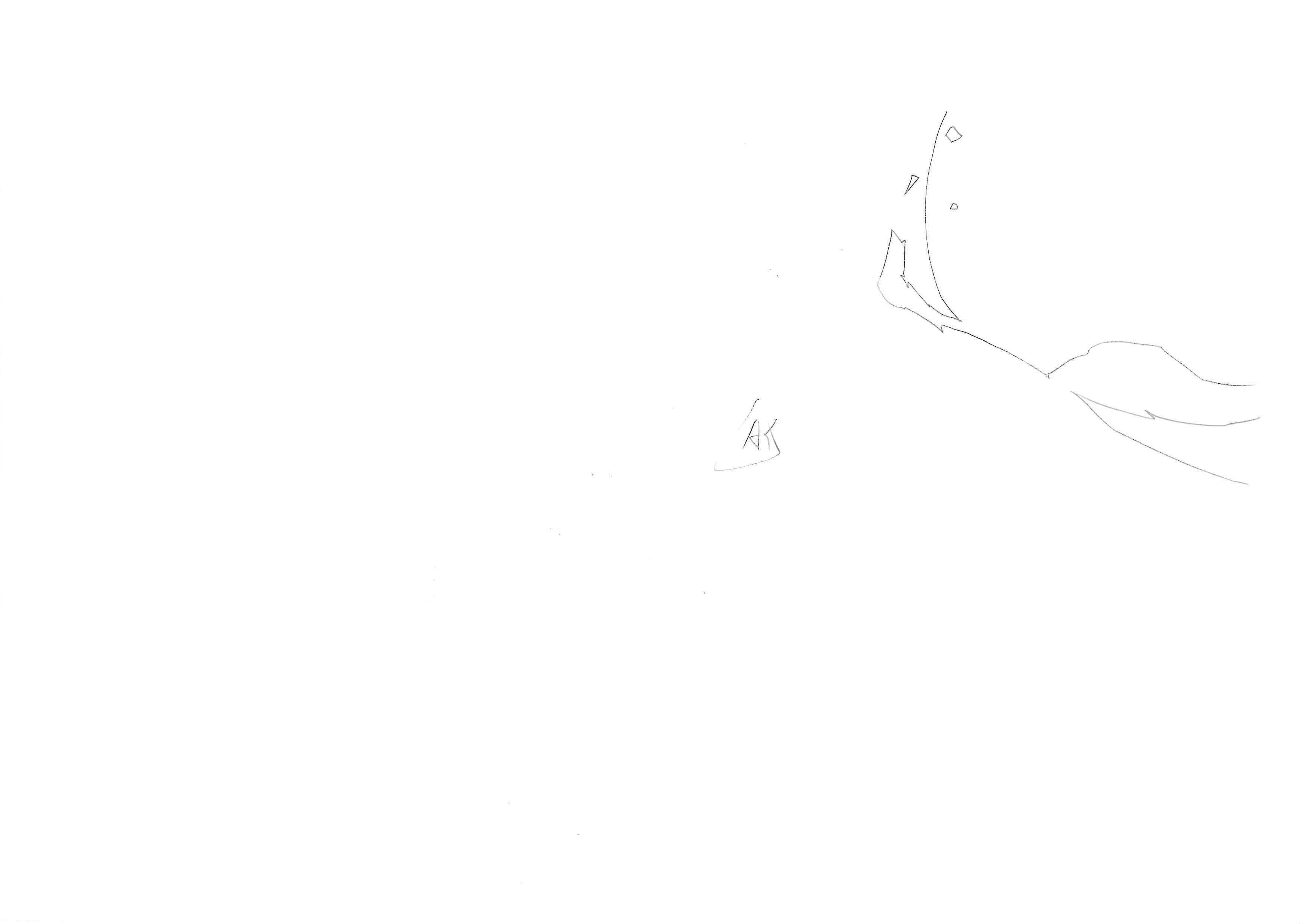 Black Clover Original Sketch (Noelle Silva) 32-page Set