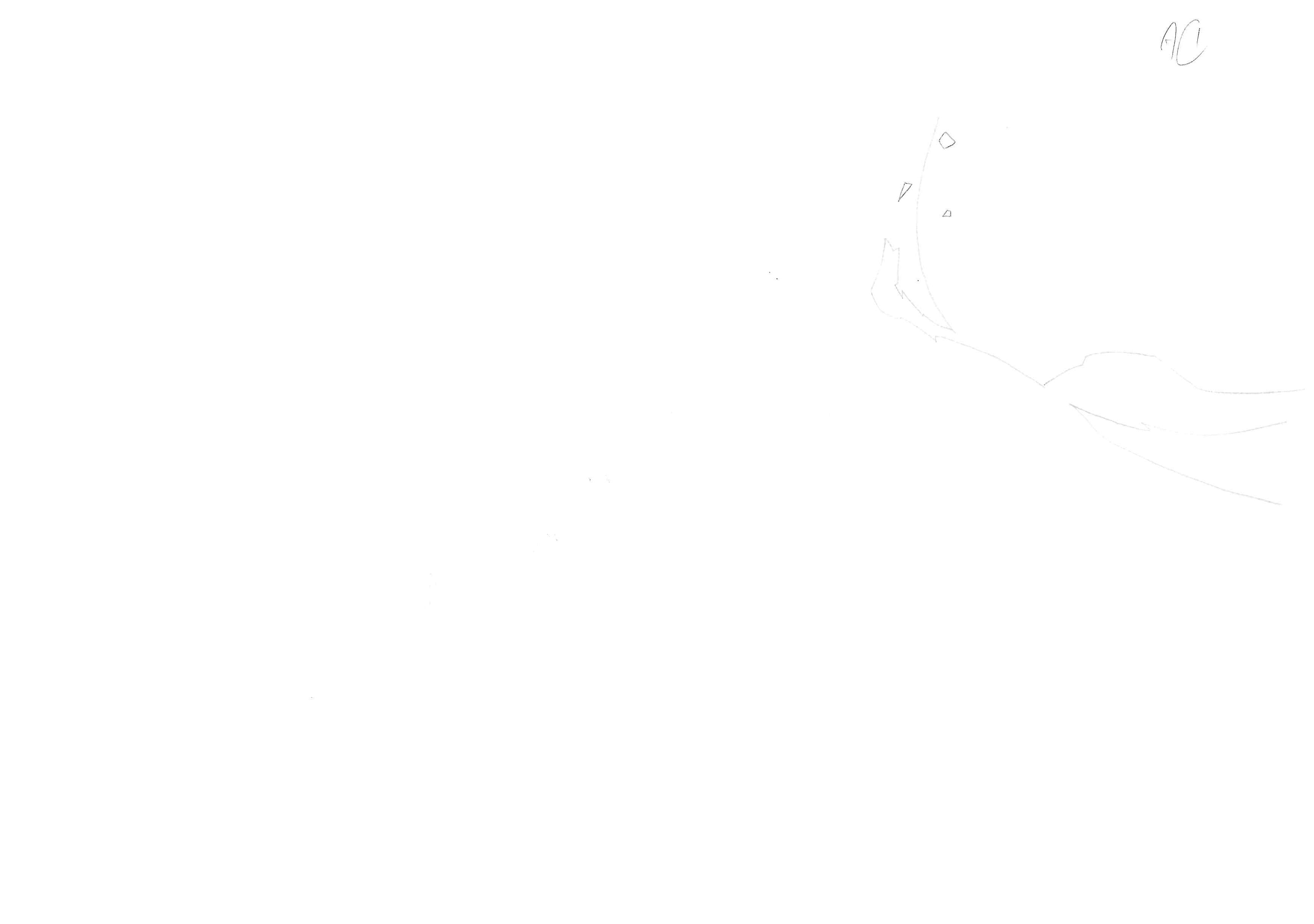 Black Clover Original Sketch (Noelle Silva) 32-page Set
