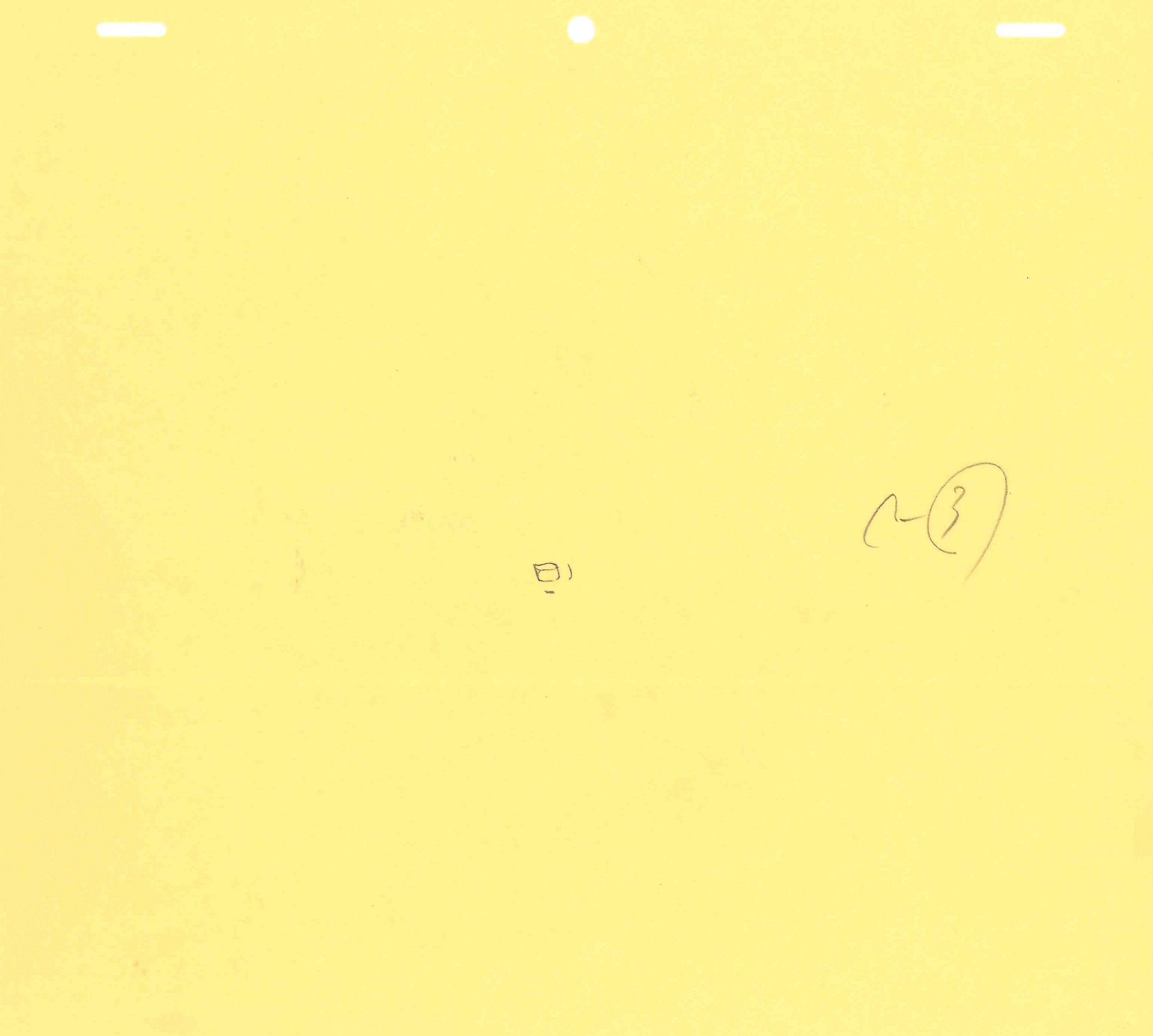 Dragon Ball Z Original Drawing (Bulma) 4-page Set