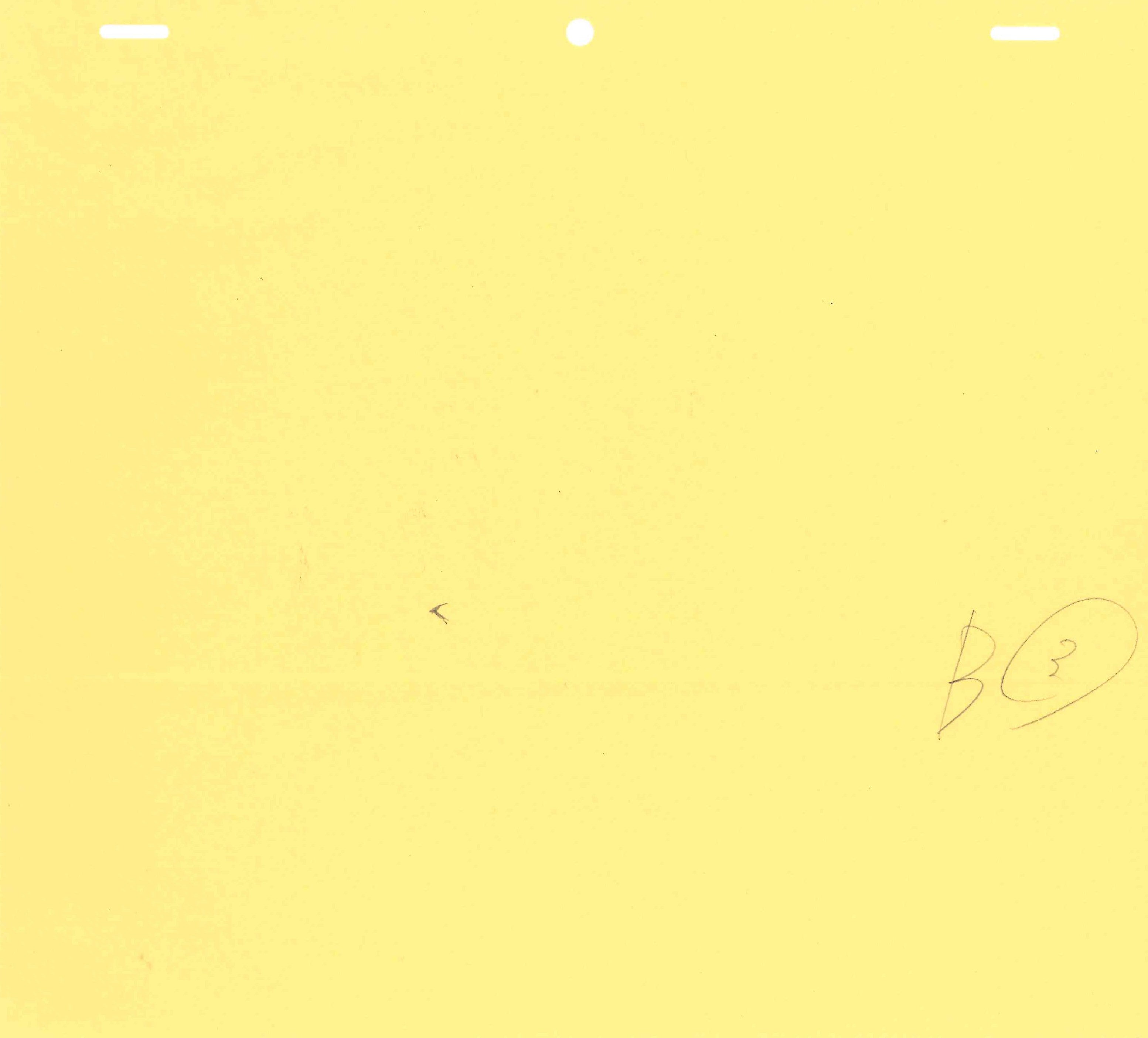 Naruto Original Drawing (Naruto Uzumaki) 2-page set