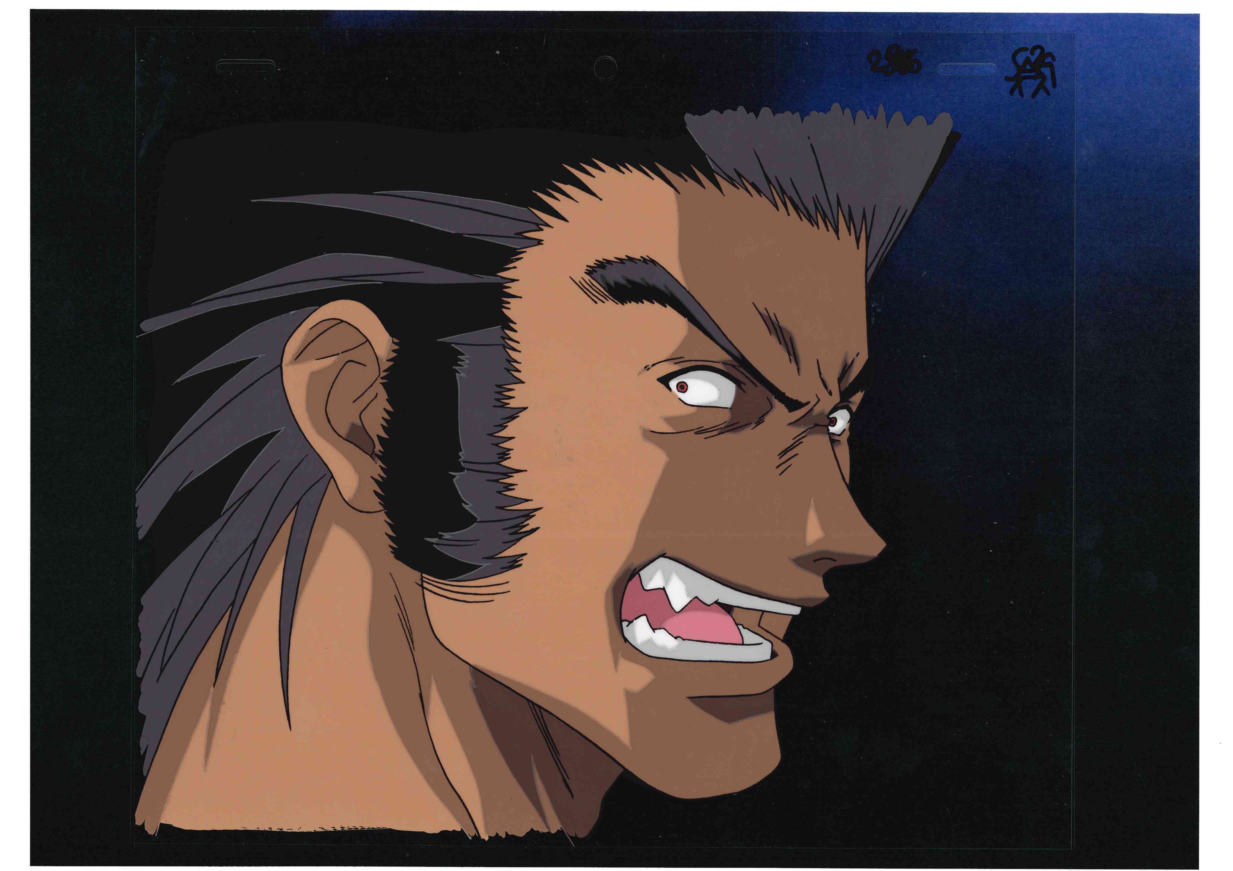 Hunter x Hunter Original Cel & Drawing (Uvogin)