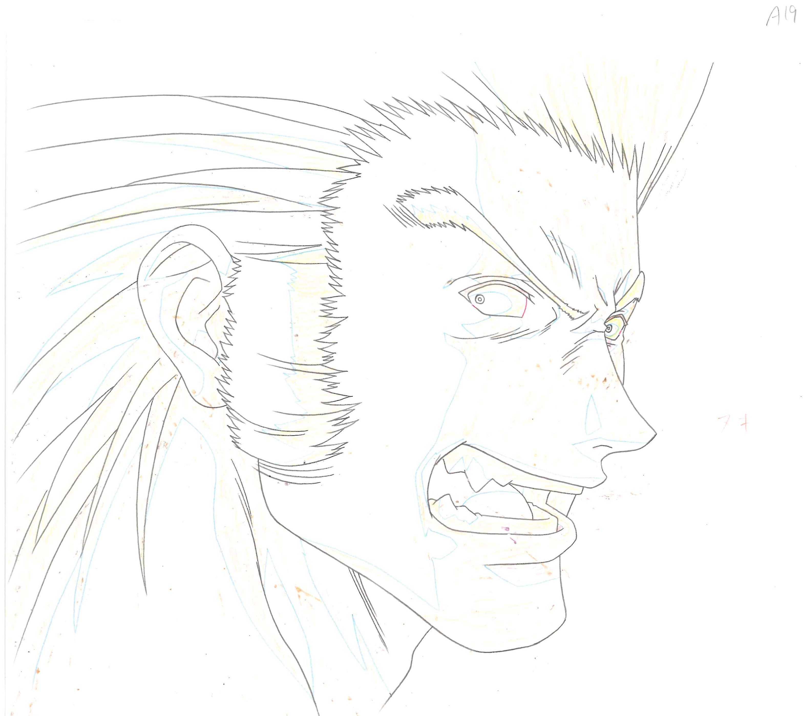 Hunter x Hunter Original Cel & Drawing (Uvogin)